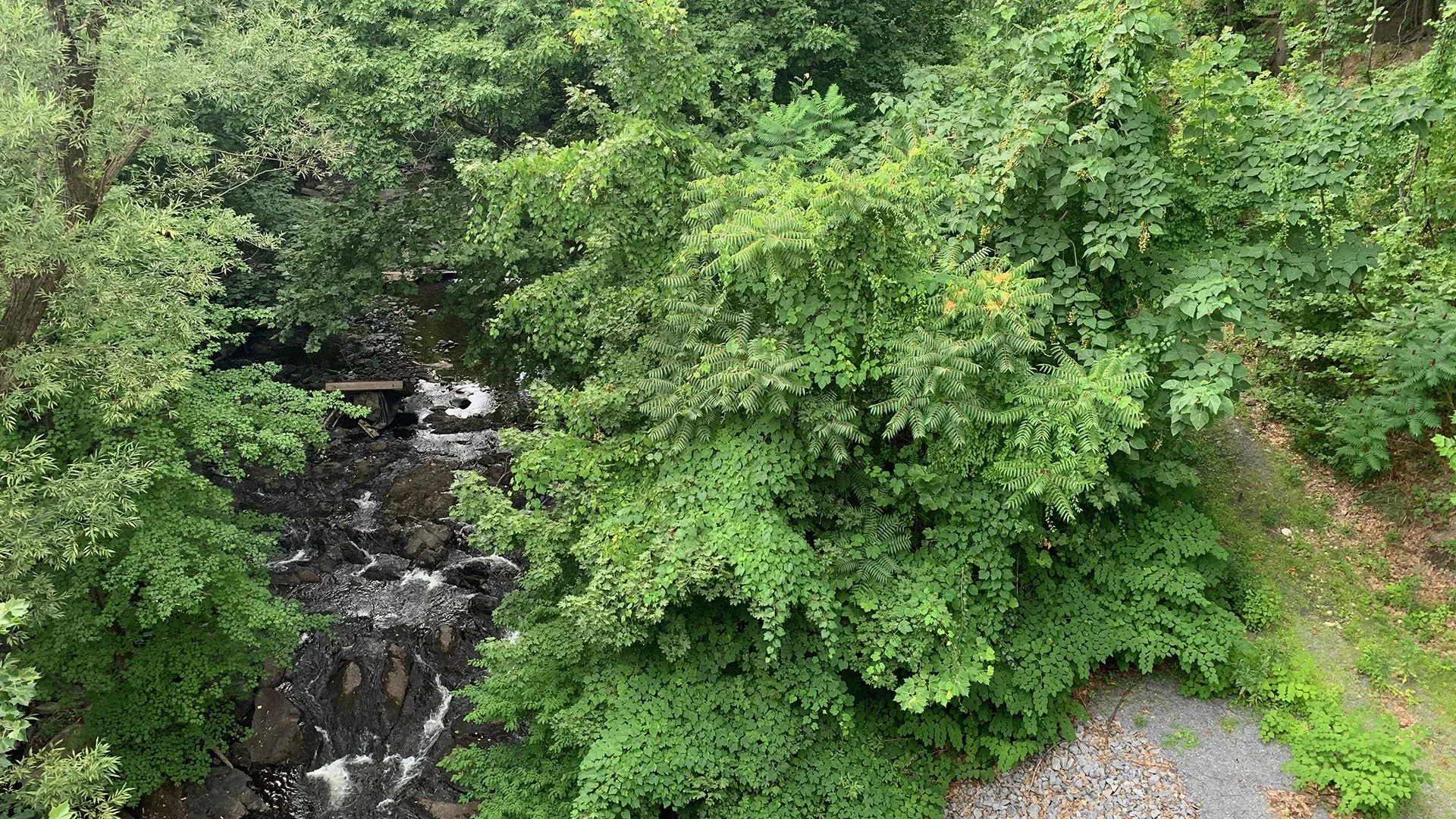 QUASSAICK CREEK GREENWAY