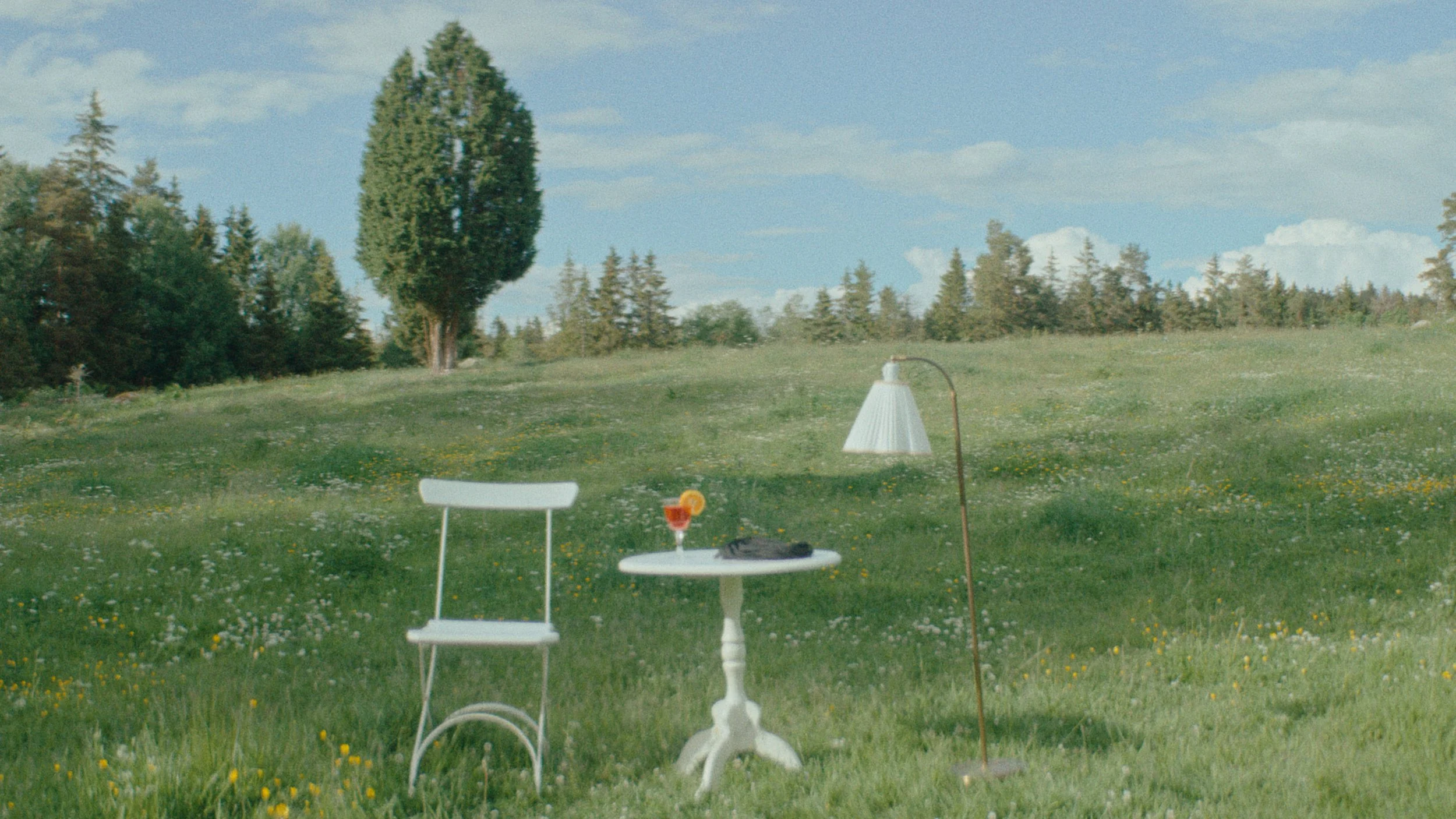 WebsiteBackgroundImage.jpg