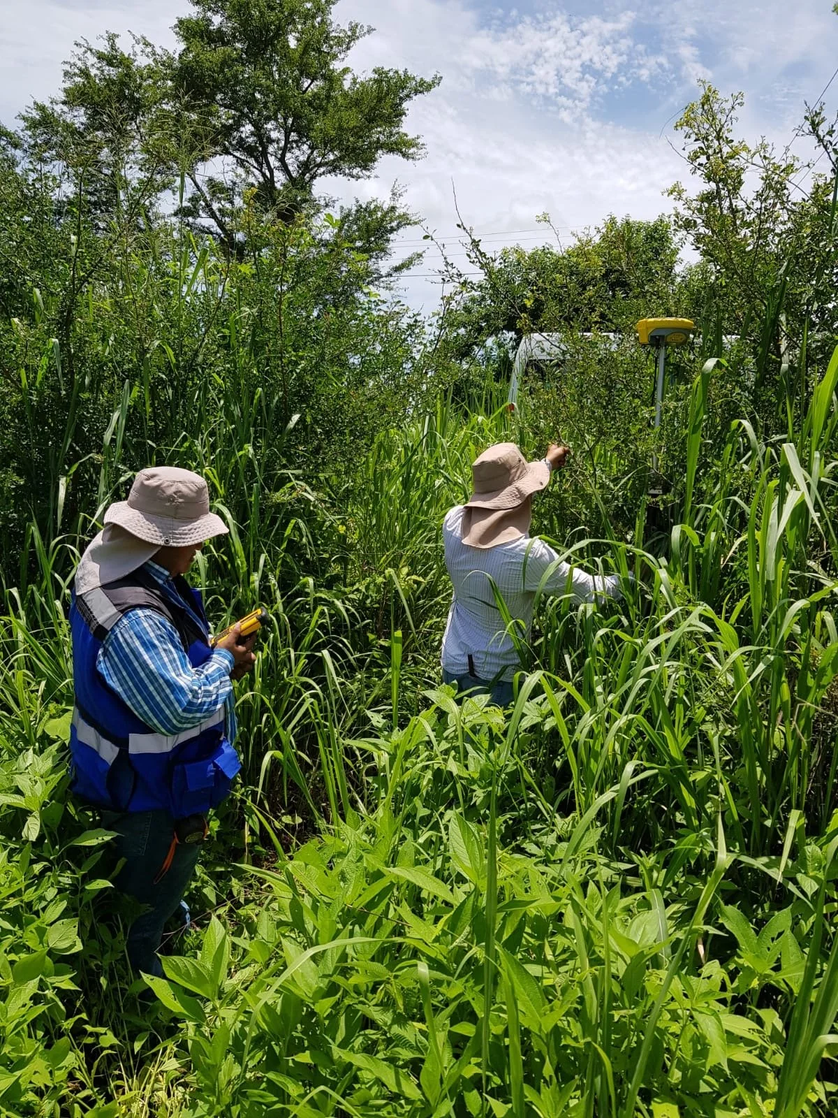 PHOTO-2022-06-02-15-21-07 2.jpeg