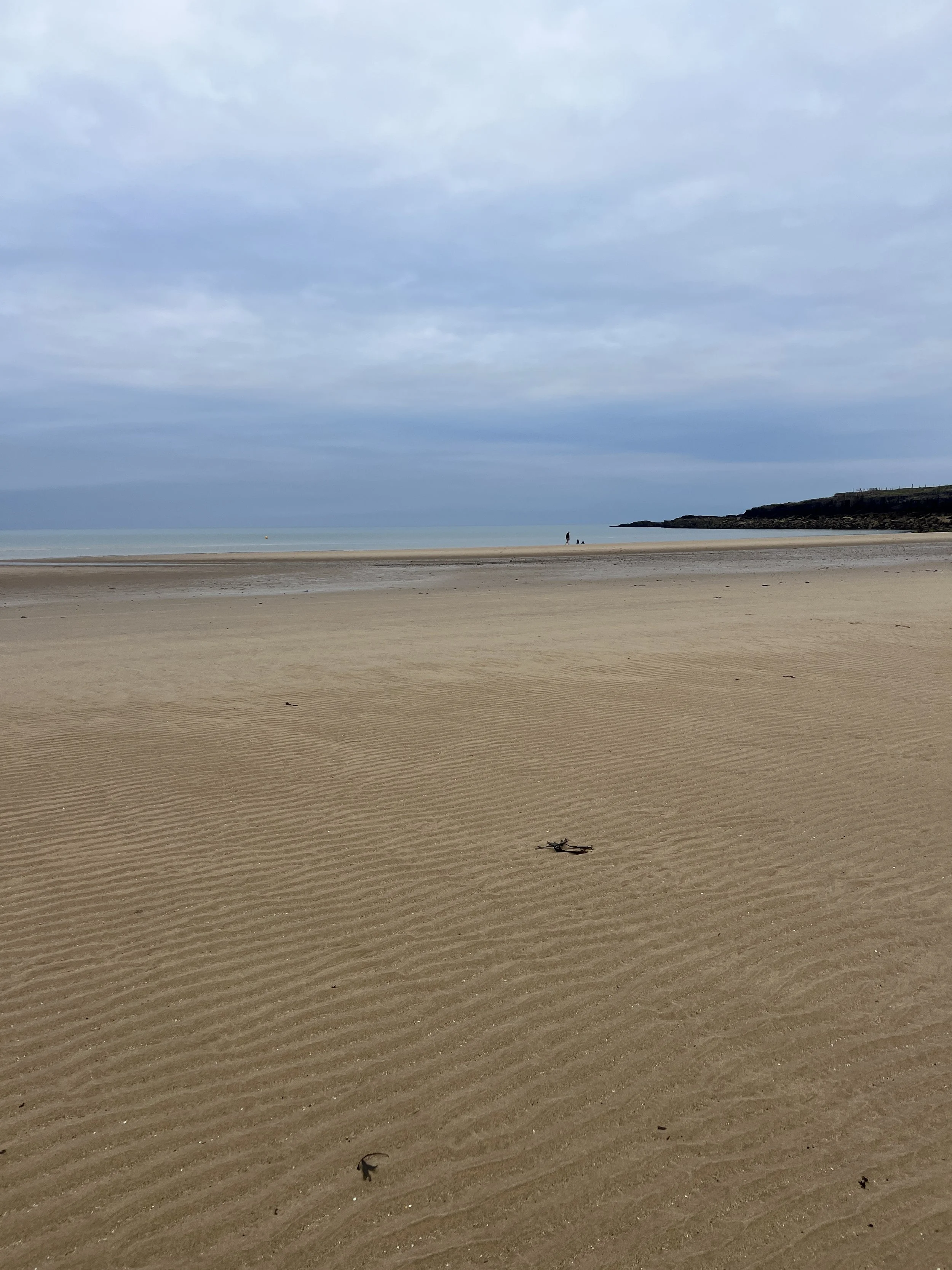 Why Slowing Down Makes Your Business Stronger