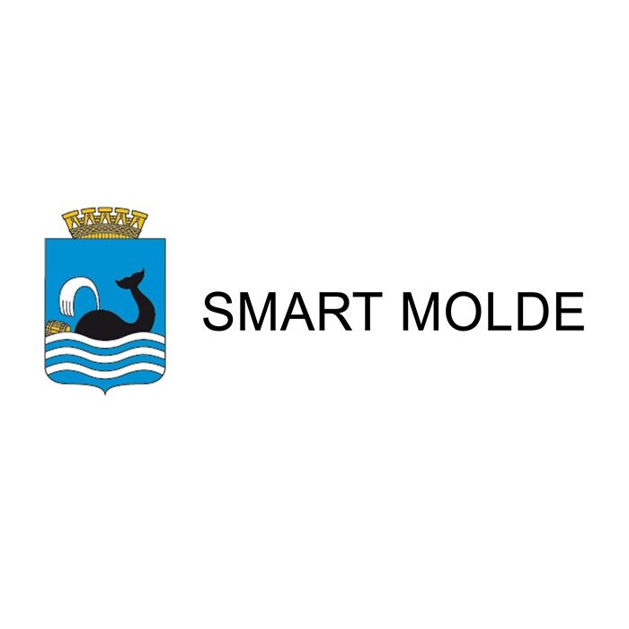 Smart Molde