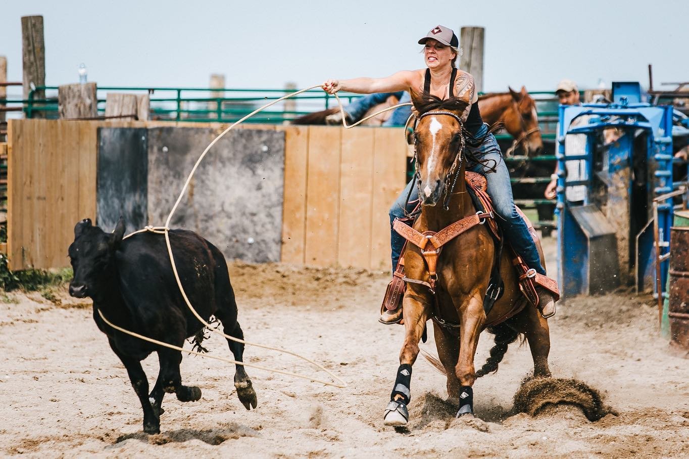 King - AQHA Gelding - 2021 