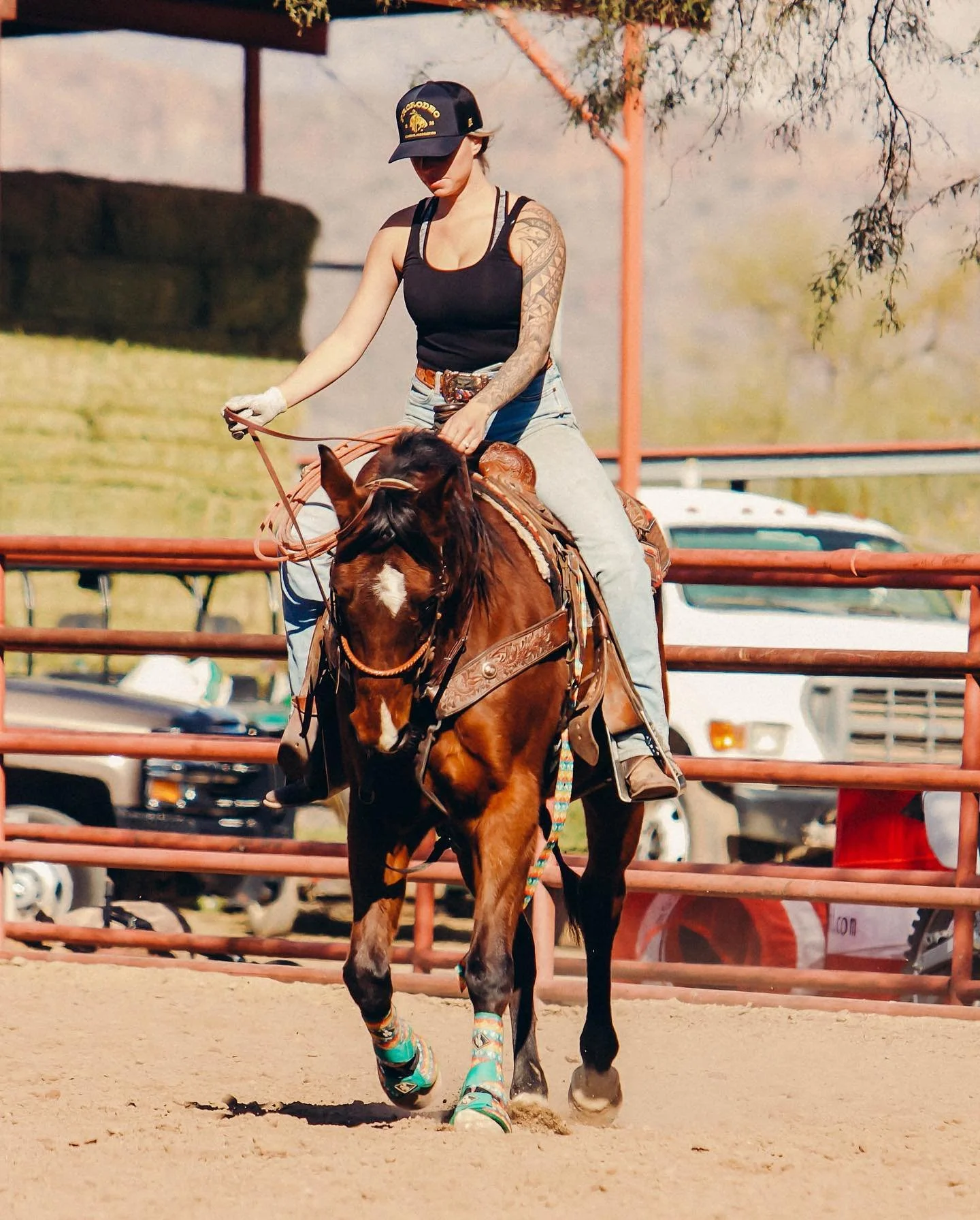 Dee - AQHA Mare - 2021