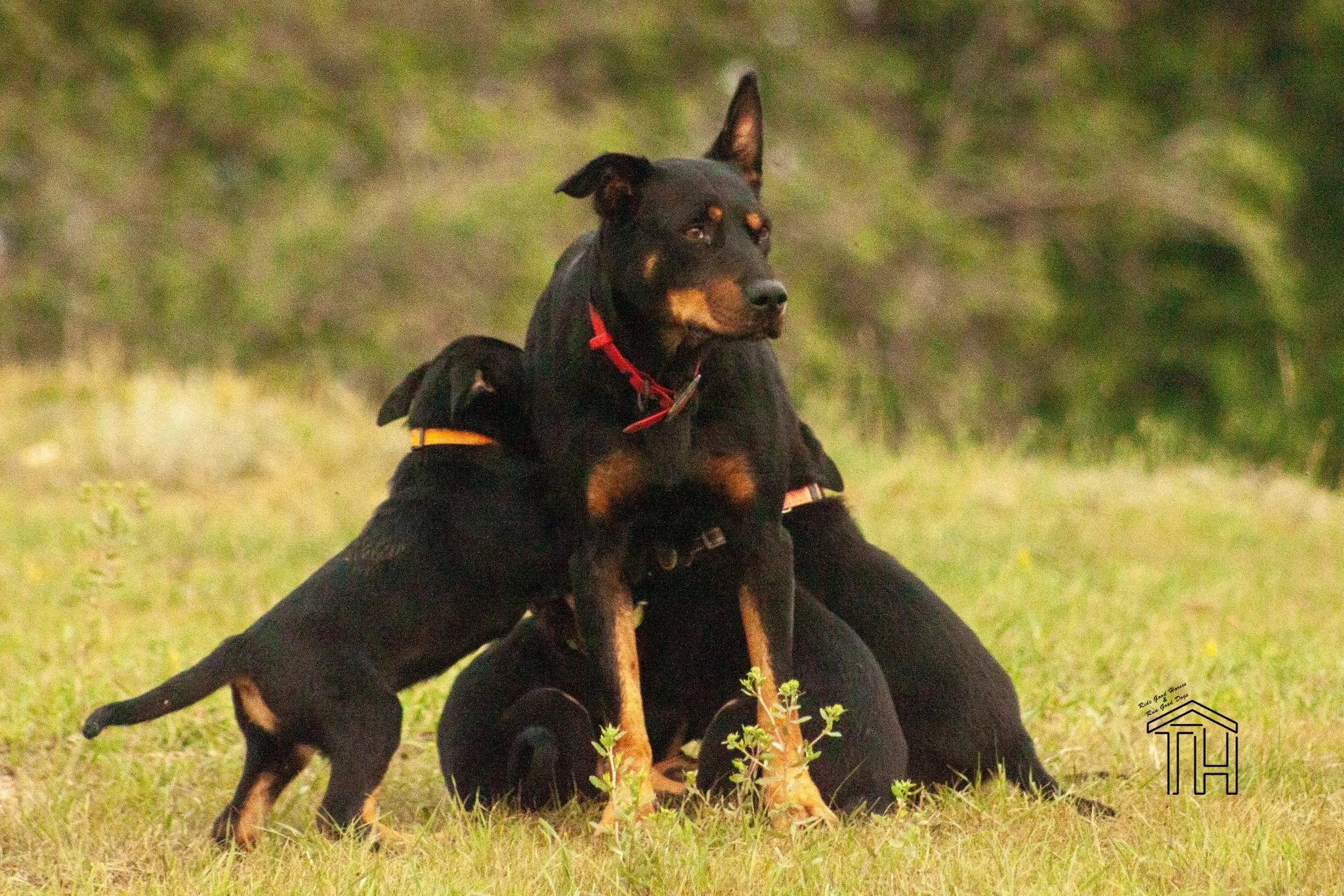 Watkinson Rita & 2025 Offspring