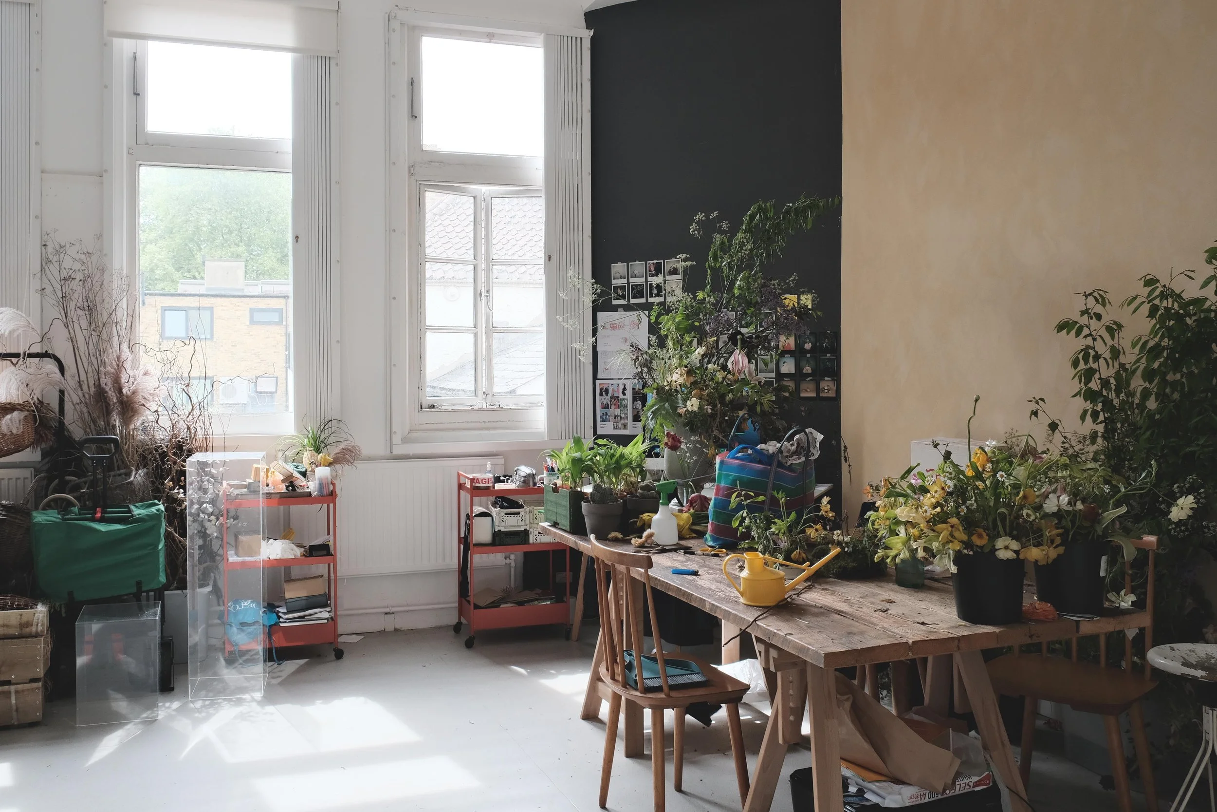 Meantime Studios flower studio bright