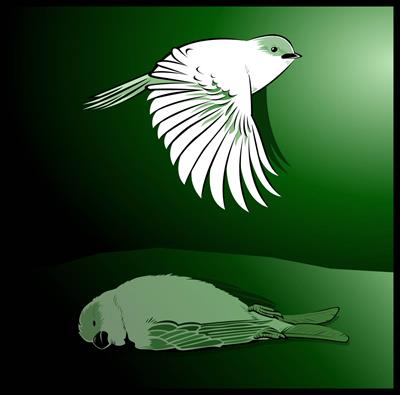 image14.png