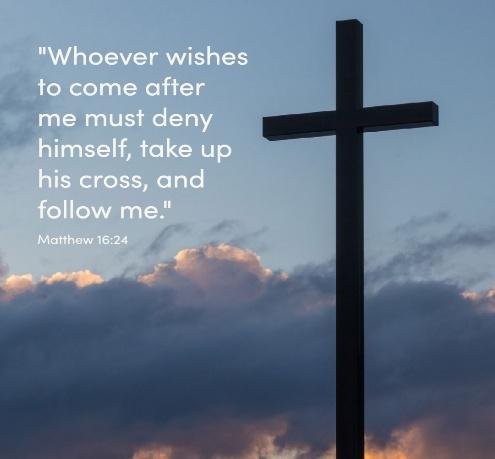 image16.jpg