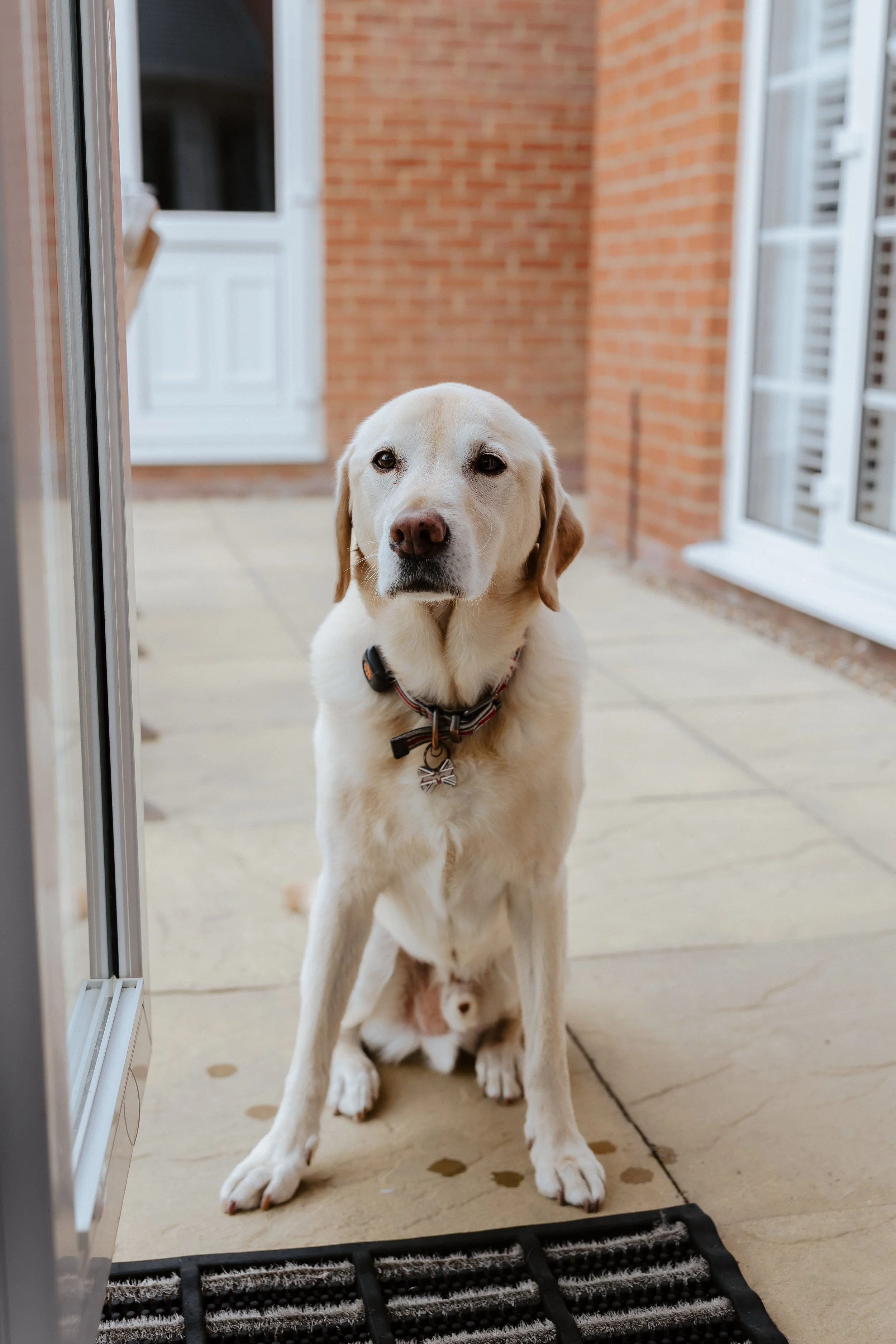 Helen Kirkman Photography - Suffolk Marquee Wedding -6.jpg