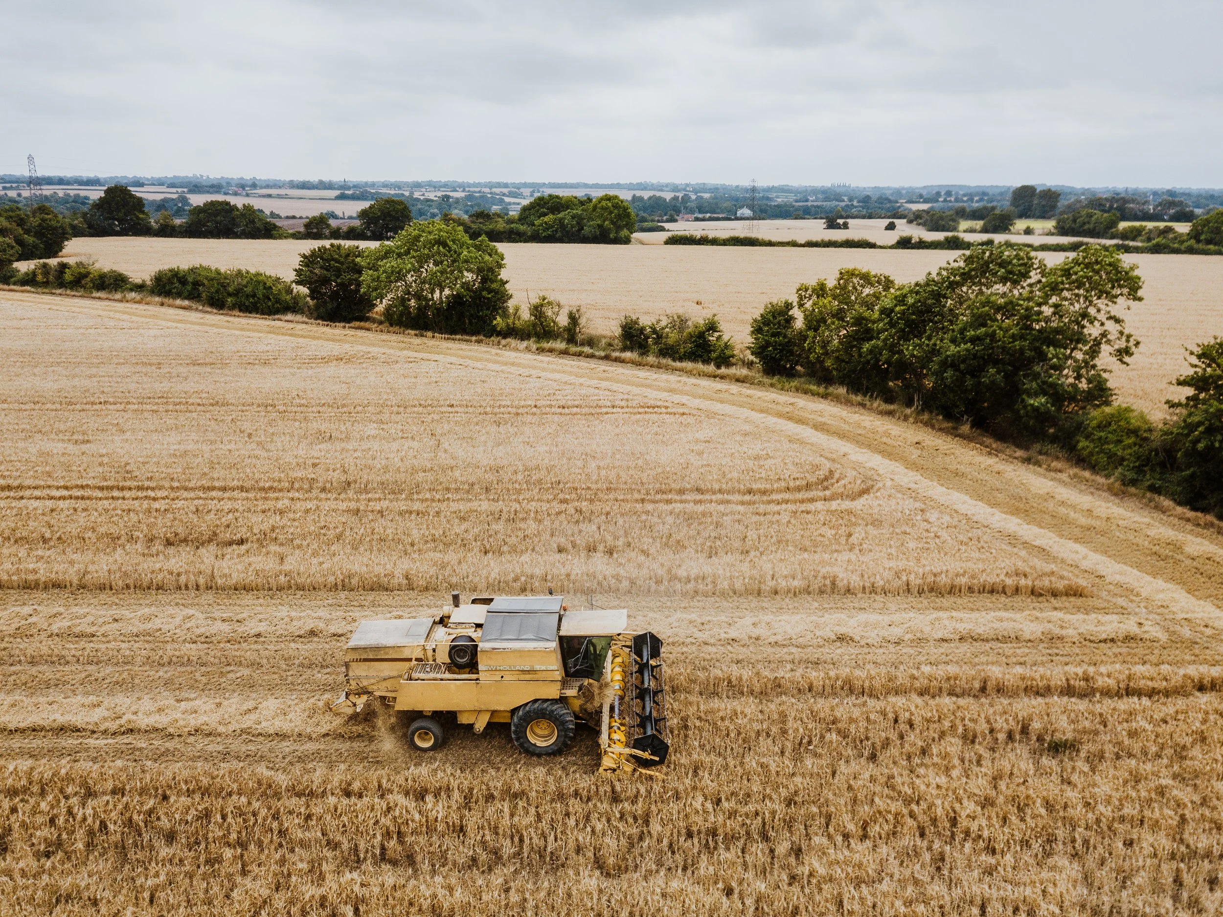 Helen_Kirkman_Suffolk_Brand_photographer (21).jpg