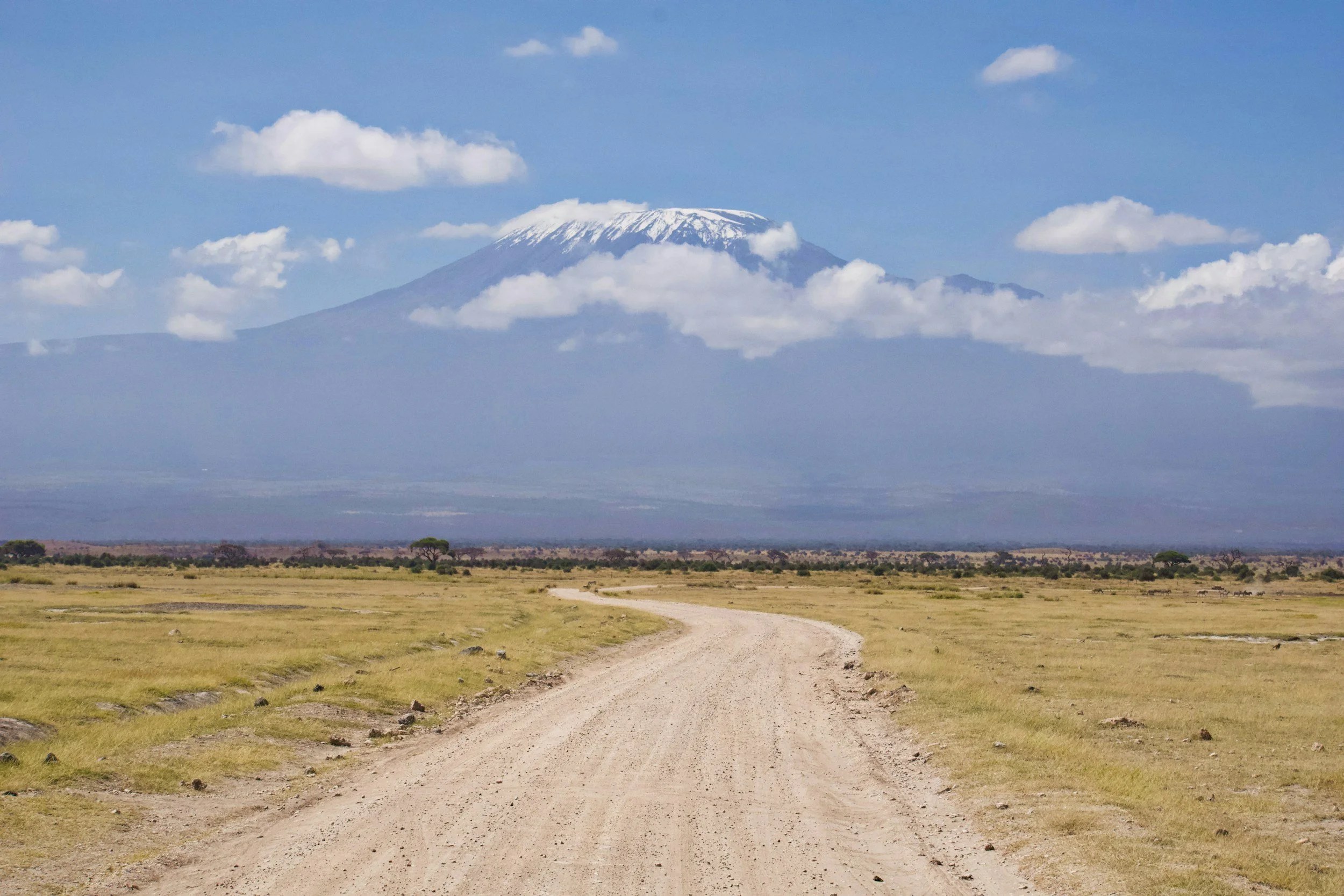 Dirt road winding through a grassy plain with Mount Kilimanjaro, partly obscured by clouds, in the background under a partly cloudy sky.
