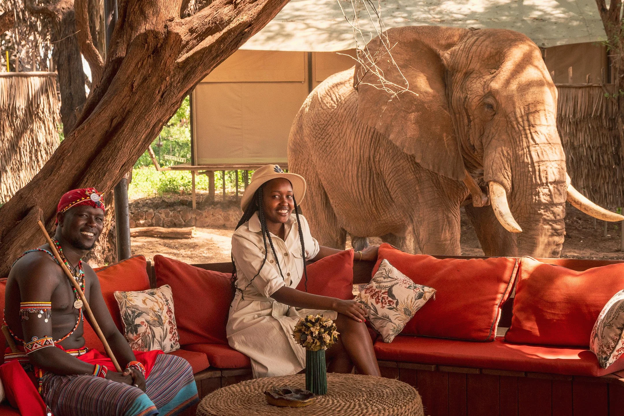 Two people sitting on a red couch indoors with a large elephant outside behind a glass window.