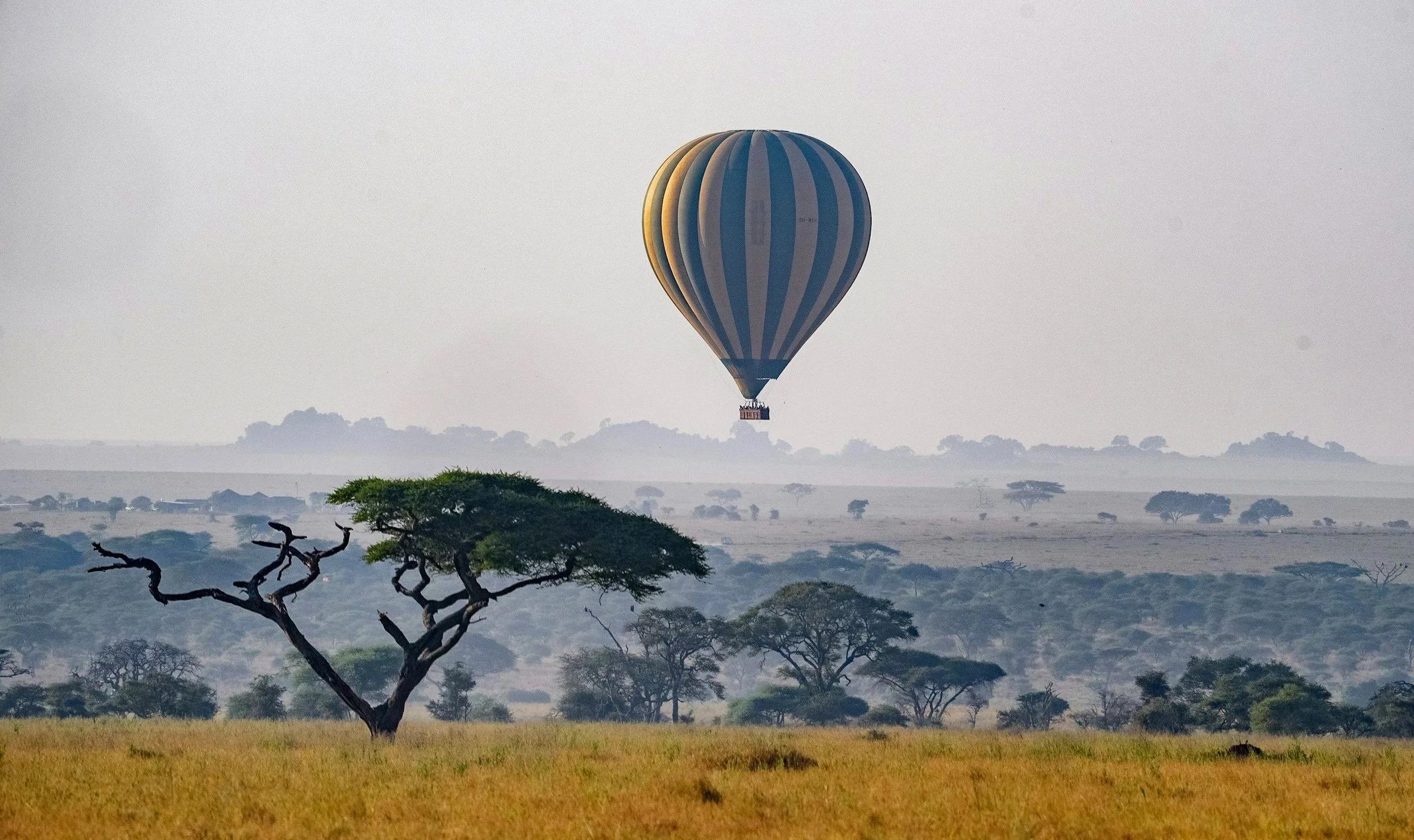 A hot air balloon floating above a savannah landscape with scattered trees.