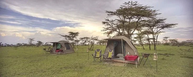 A safari campsite with two tents, camping chairs, a table with a red tablecloth, and lanterns in an open grassy field with scattered trees and a cloudy sky.