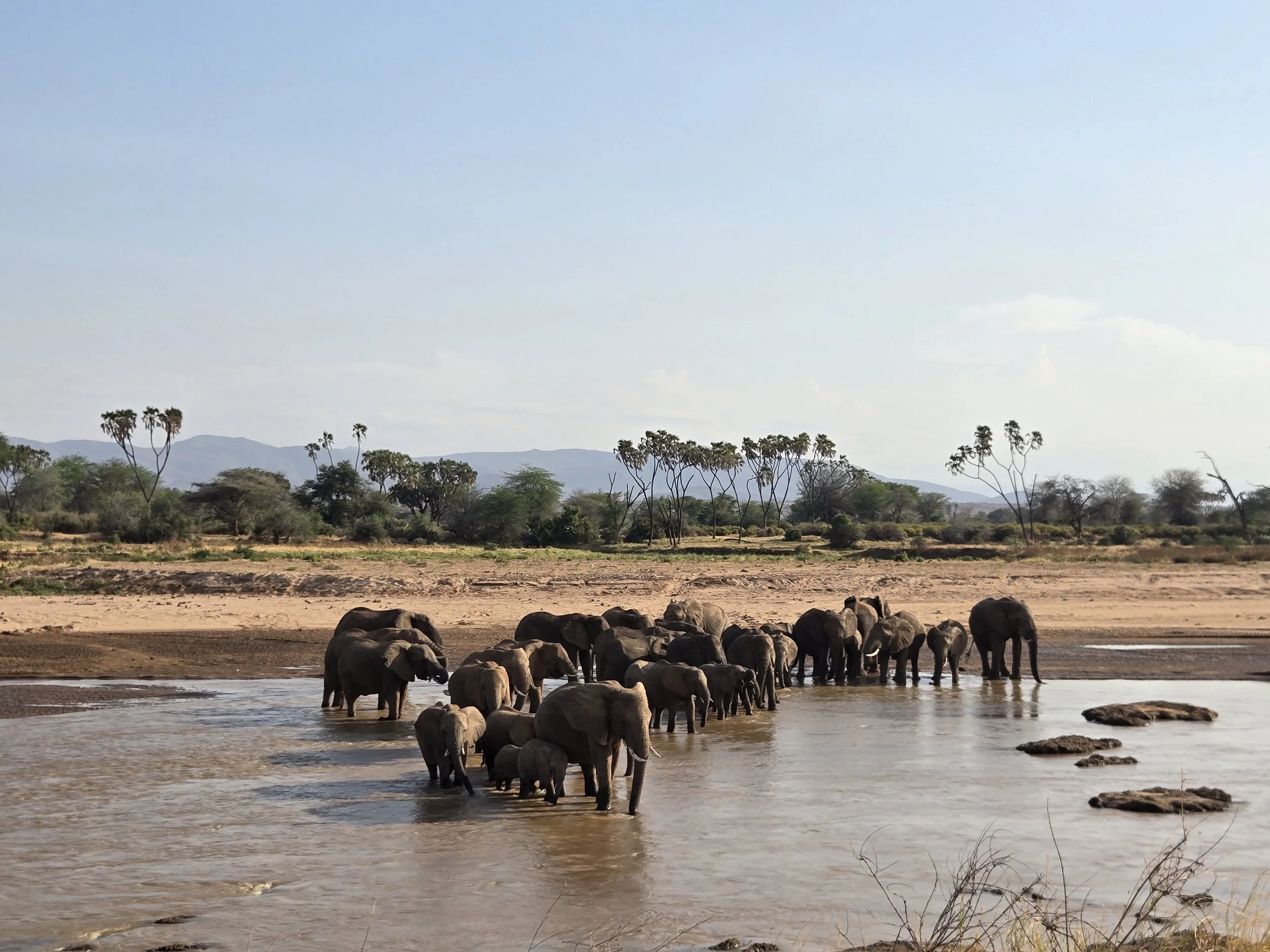 20250803_165910 (1).jpg