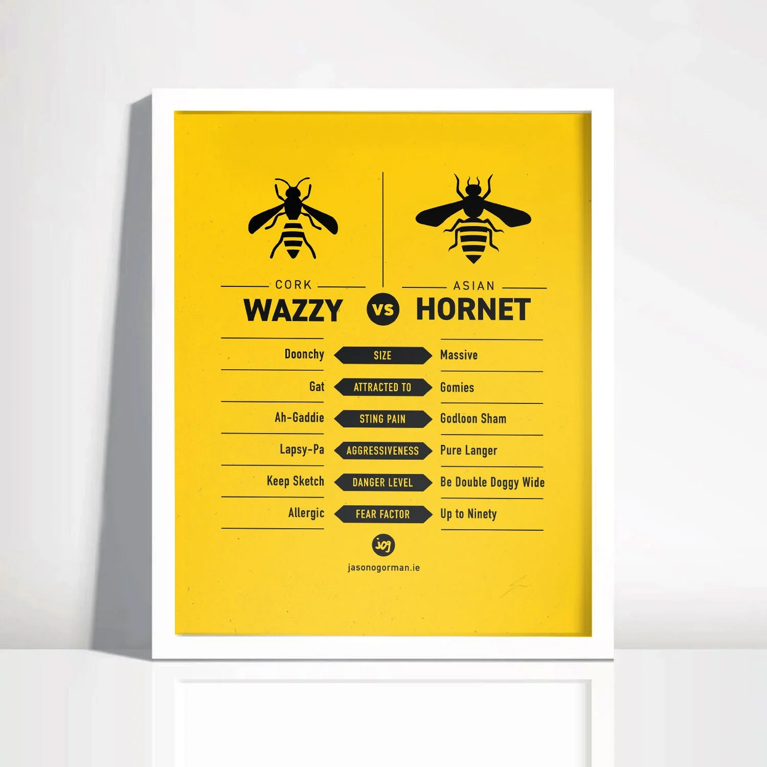 JOG-jasonogorman-jogcork-cork_wazzy-frame.jpg