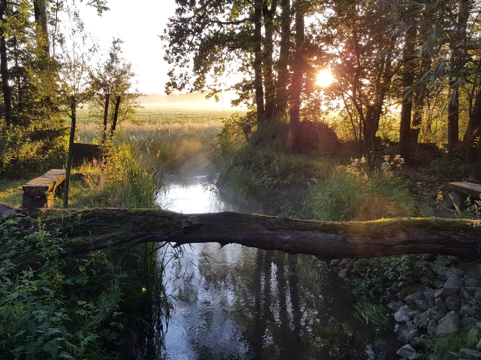 Zonsopkomst