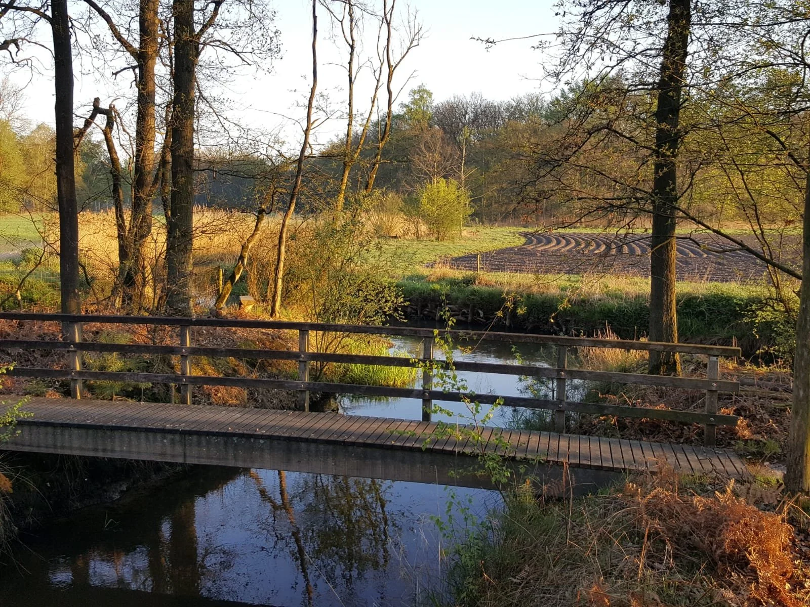 Voorjaar