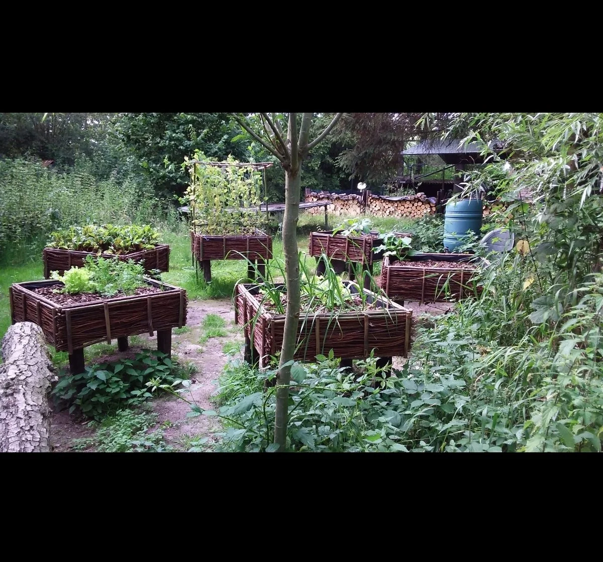 Educatieve moestuintjes