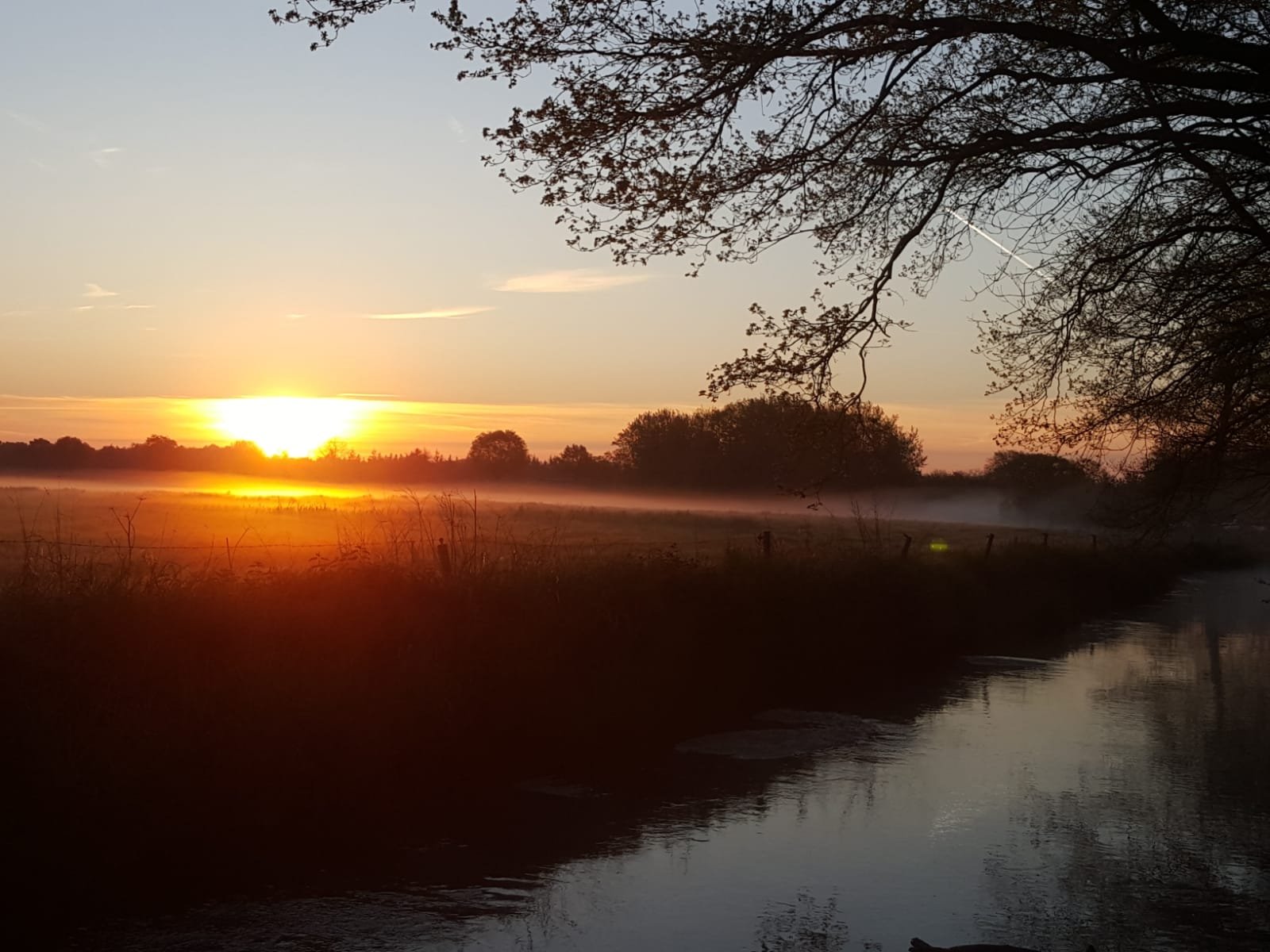 Nieuwsbrief ‘Natuurplannen in bloei’