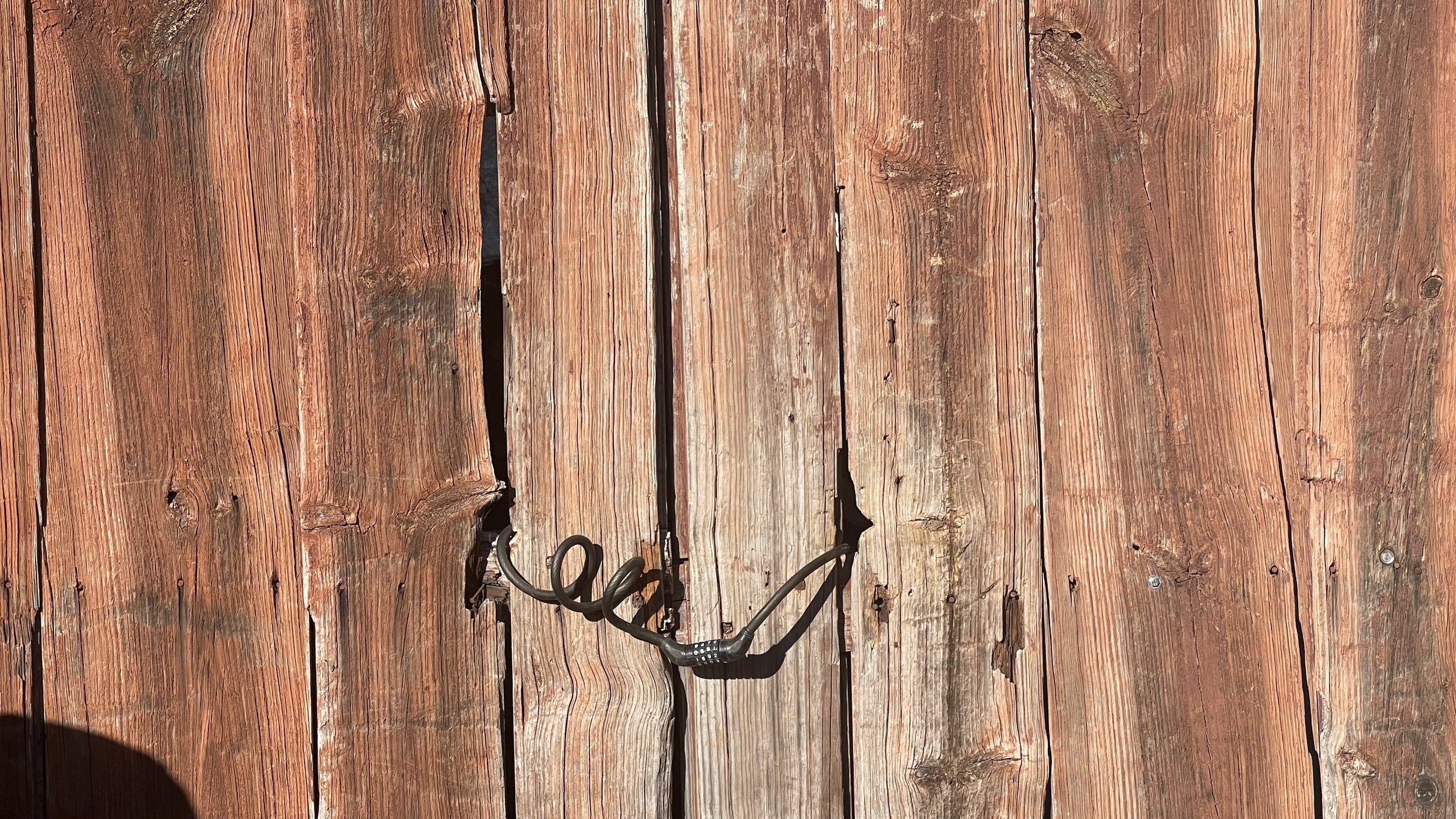 IMG_6709.jpg