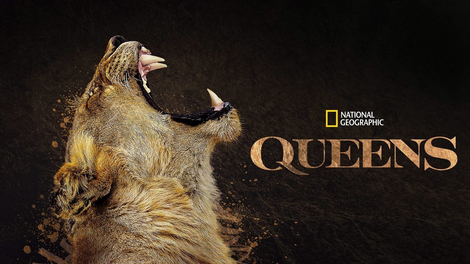 Nat+Geo+Queens+16-9+1920px.jpg