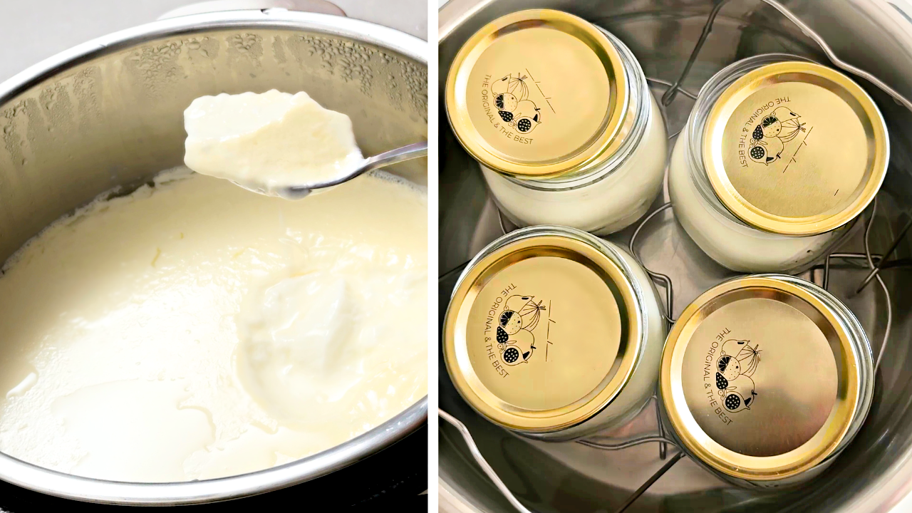 Instant Pot Mini Yogurt: Batch or Jar? A Beginner's Guide