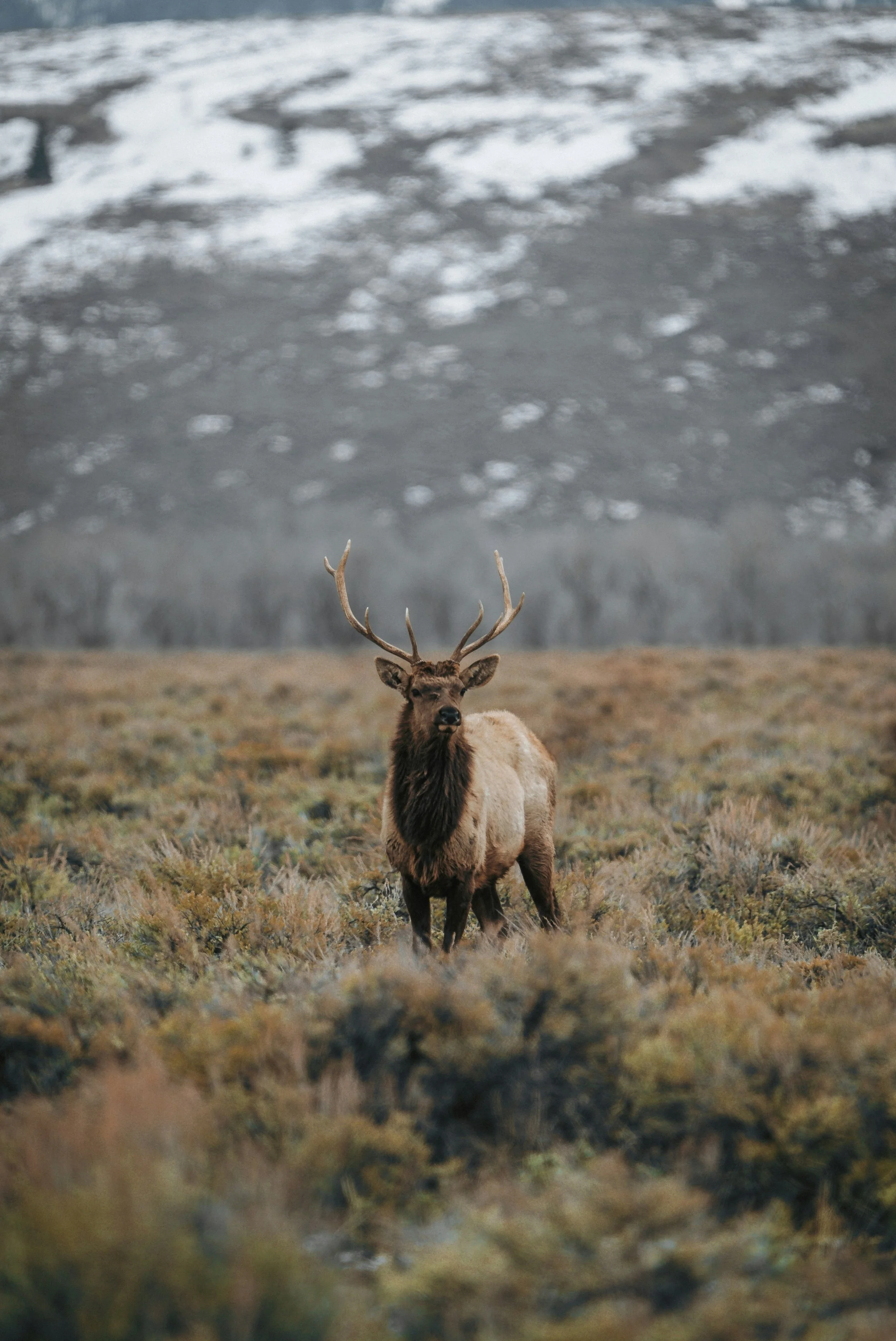 karsten-winegeart-jqVvBbspJx8-unsplash.jpg