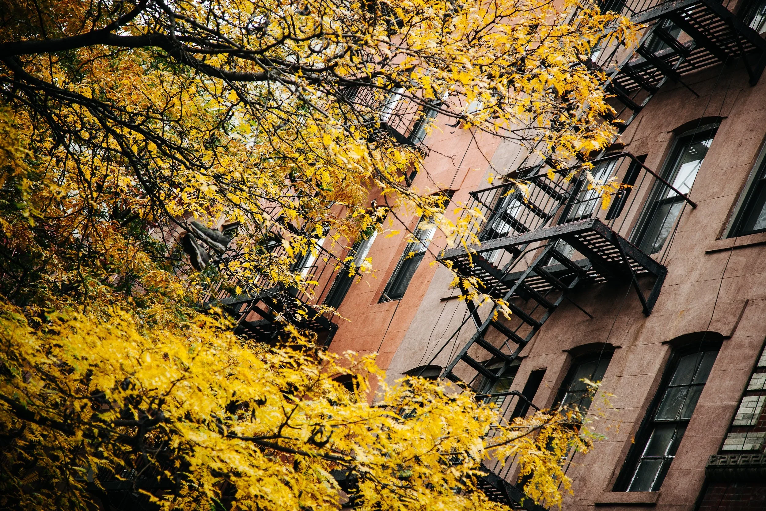 Archive: New York City