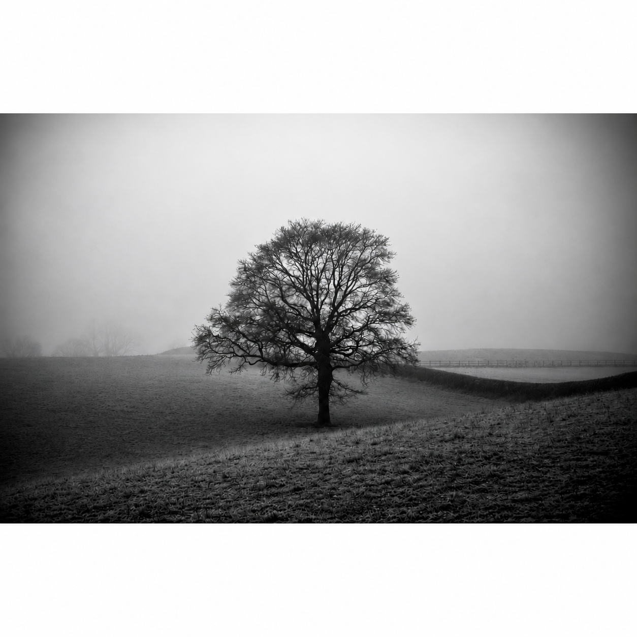 Centered full-width photograph.png