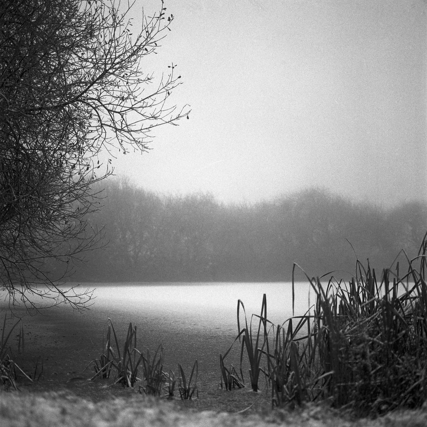 OLW-crummers-lake-crop.jpg
