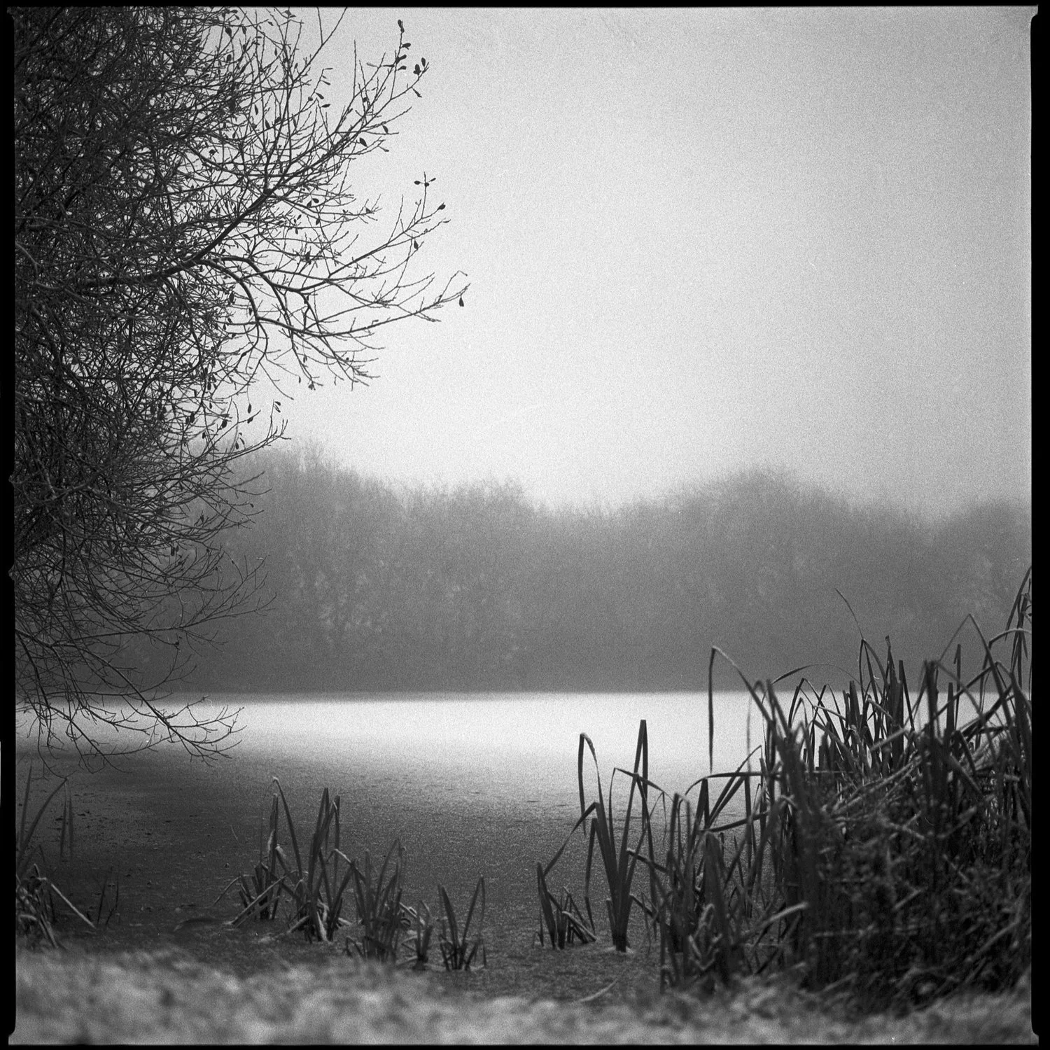 crummers-lake.jpg