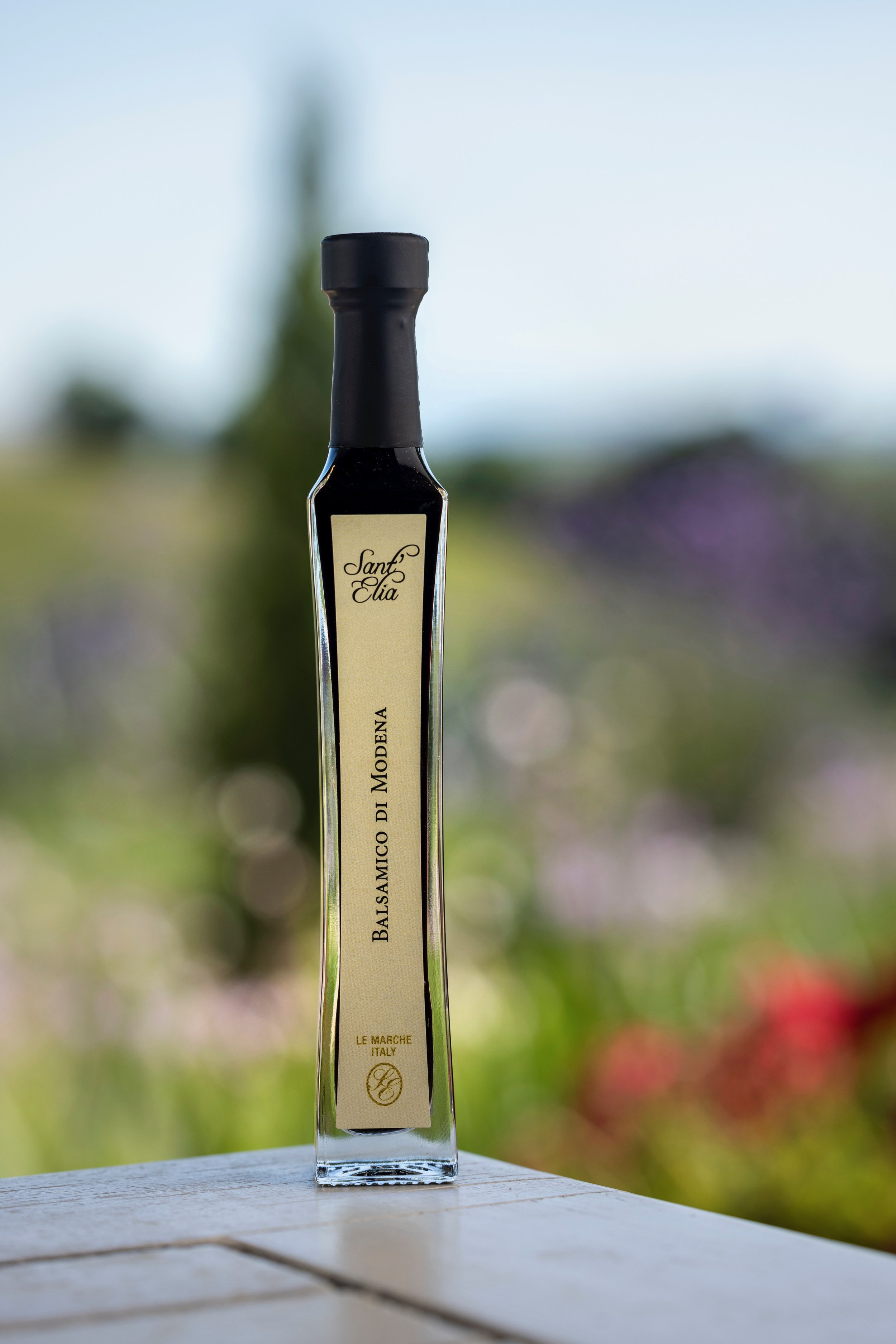 Balsamico di Modena 40ml.JPEG