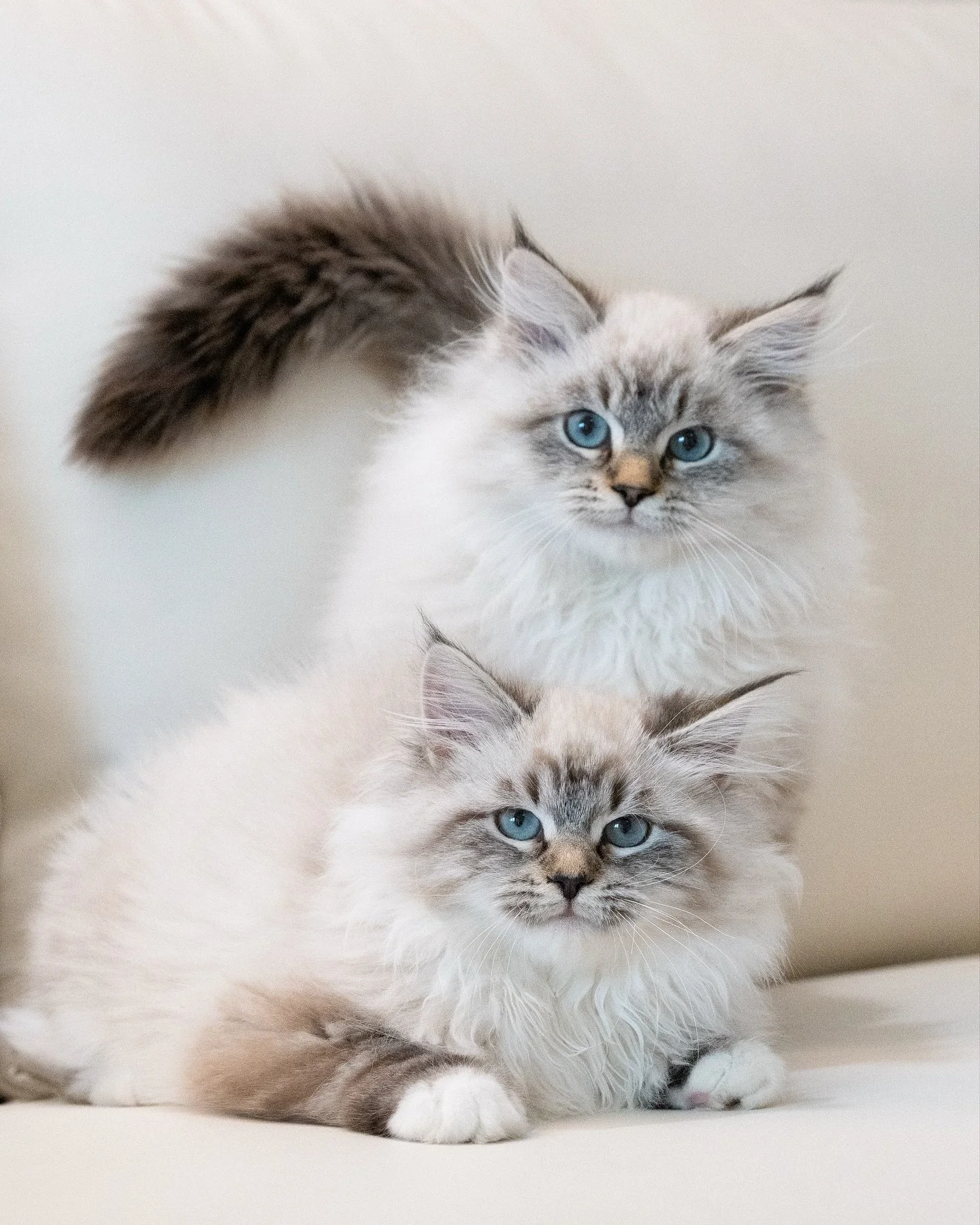 Ilo & Jude will be going home together 🎉 What an exciting life they will have ahead ❤️