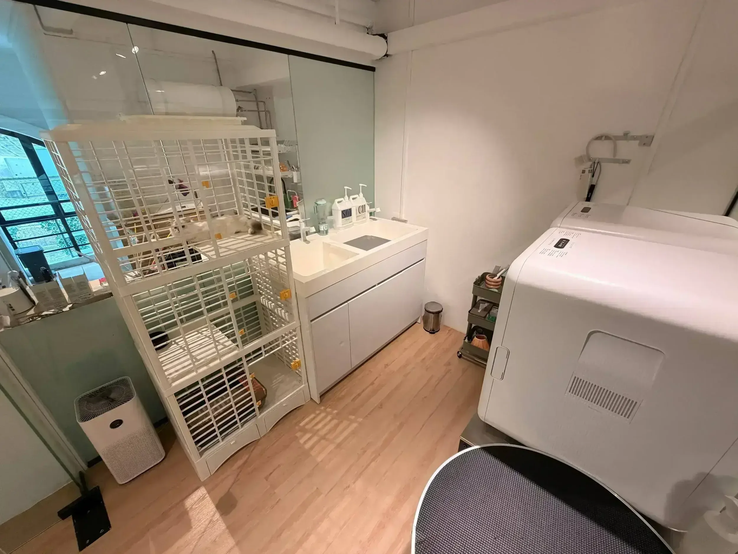 The grooming room at the Fluffydolls cattery, with a bath, dryer and grooming table.