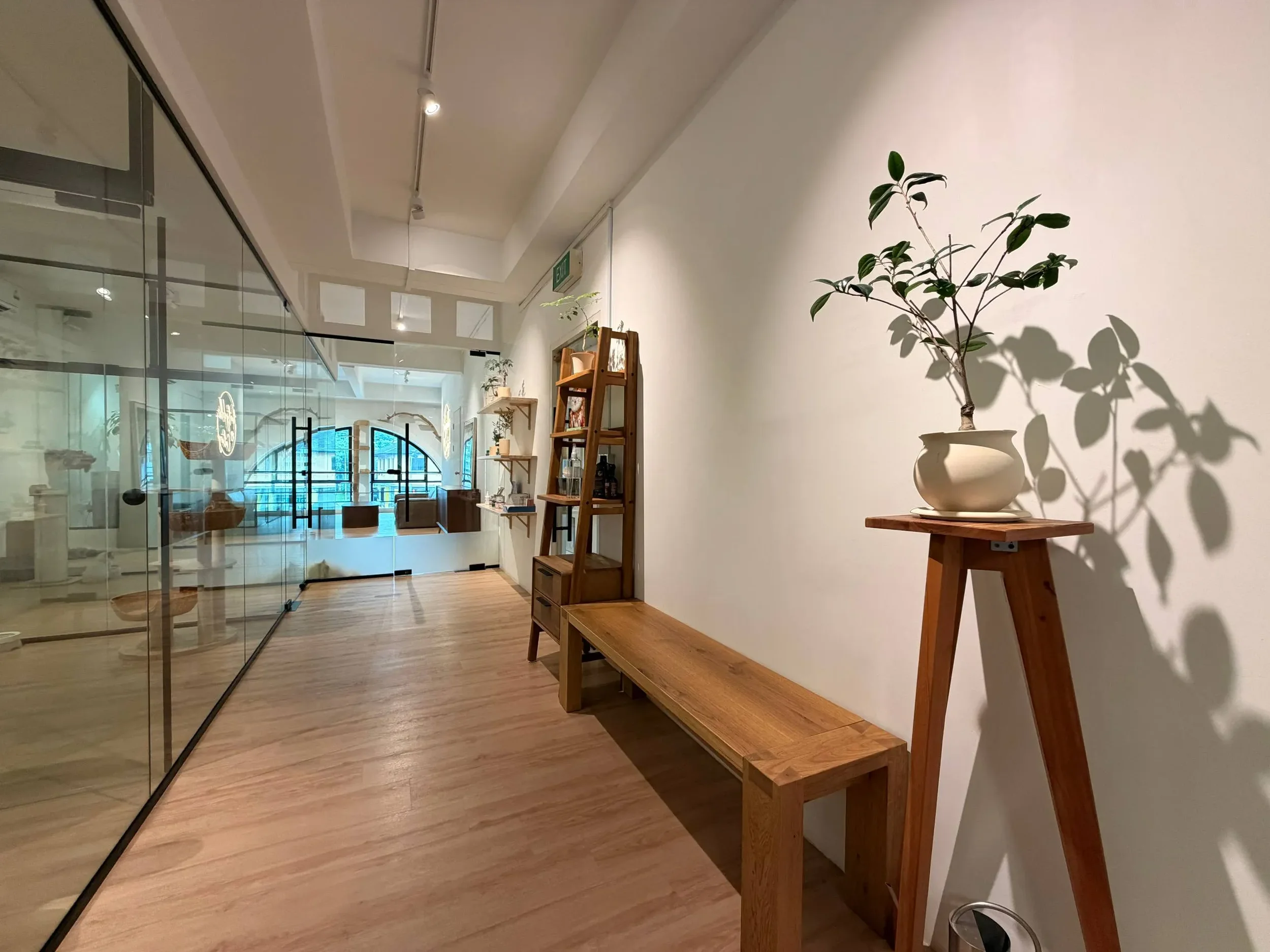 The walkway between the cattery's glass-fronted cat rooms in Singapore.