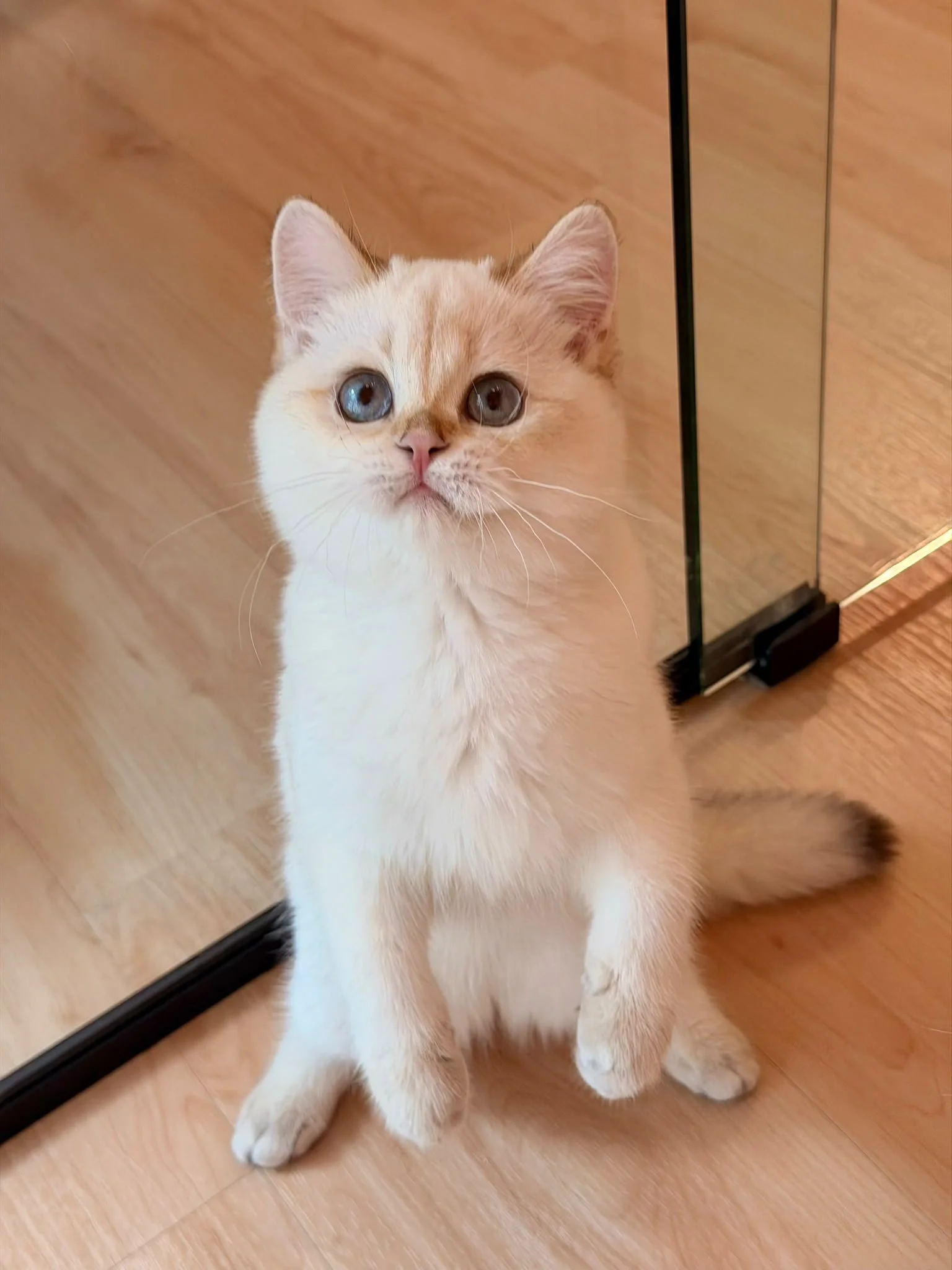 Sugar
