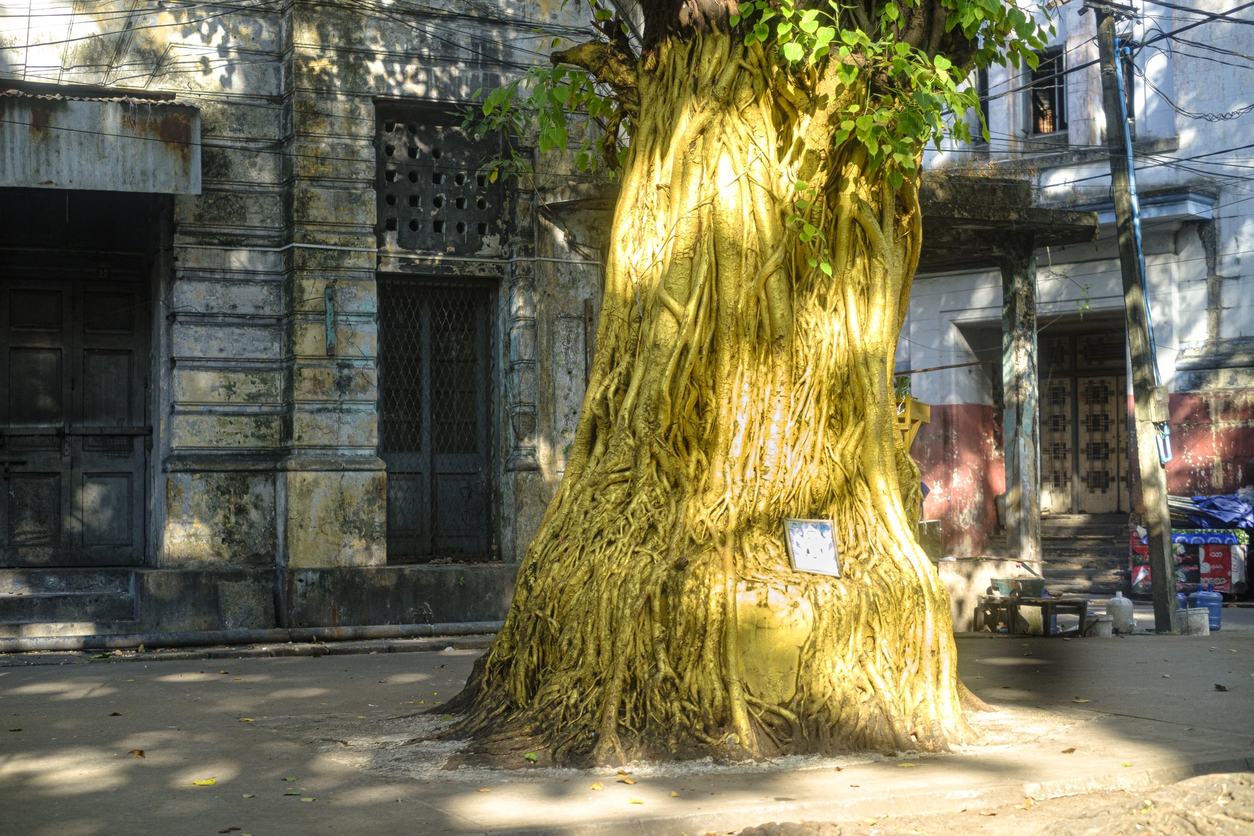 Yangon15.jpg