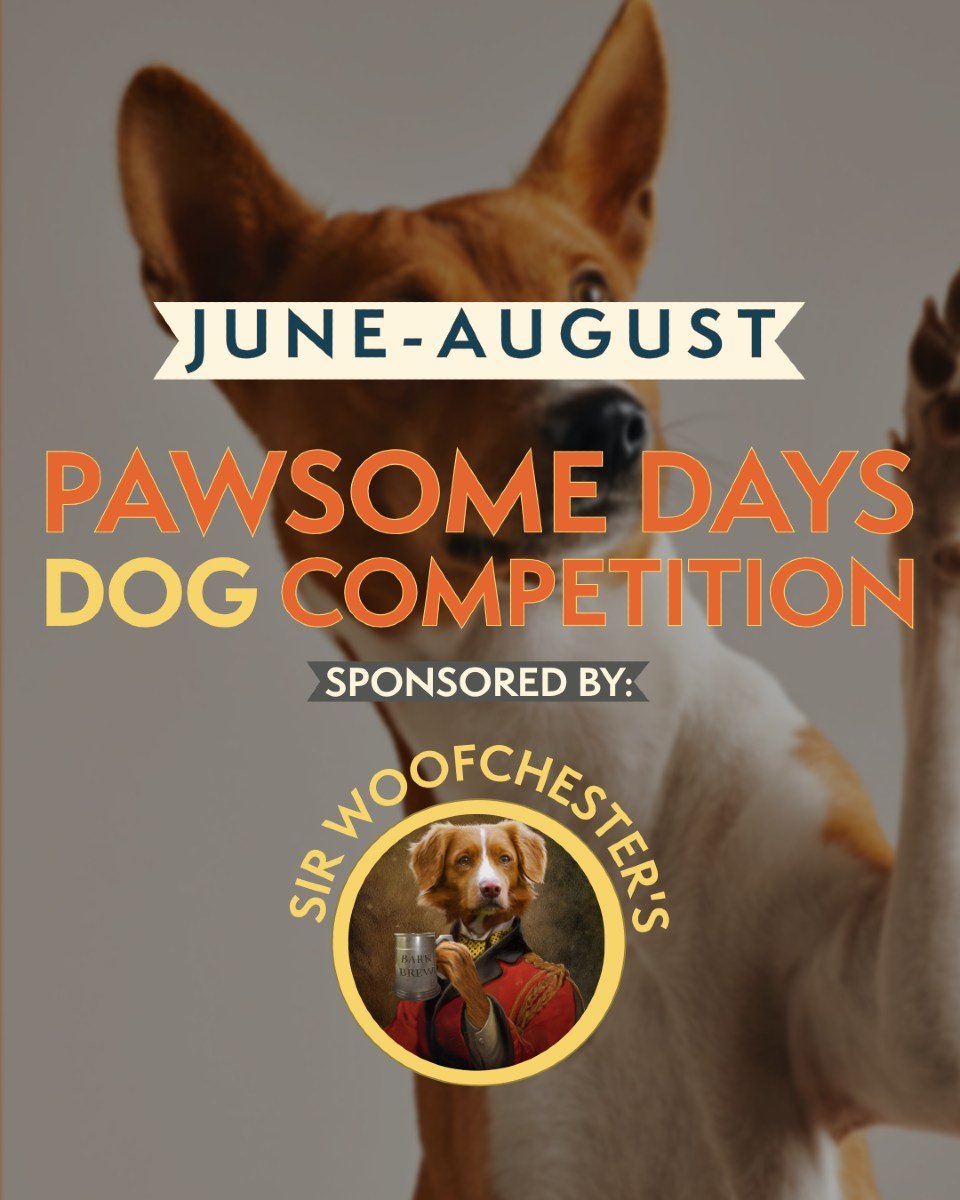 🐾 FAME &amp; FORTUNE FOR YOUR FURRY SUPERSTAR! 🐾

Think your dog's got what it takes? Time to put those adorable skills to the TEST! 🏆
INSANE PRIZES WAITING:
💰 &pound;50 voucher PLUS your pick of:
🦴 Premium treats for a WHOLE MONTH
🎁 Luxury ham