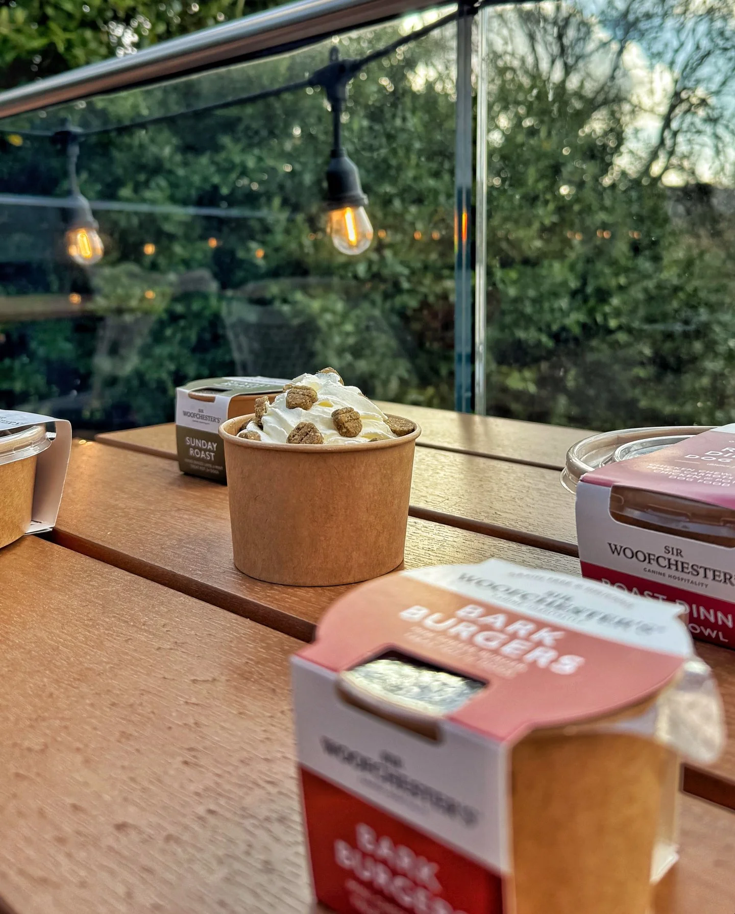 Family-friendly. Kid-friendly. Dog-friendly.

Actually friendly.
Most places say &quot;dogs welcome&quot; then give you the look when yours arrives.
Not us.
✨ Kids menu? Check.
✨ Dogs menu? Obviously.
✨ Lake views everyone can enjoy? Done.

Lake View