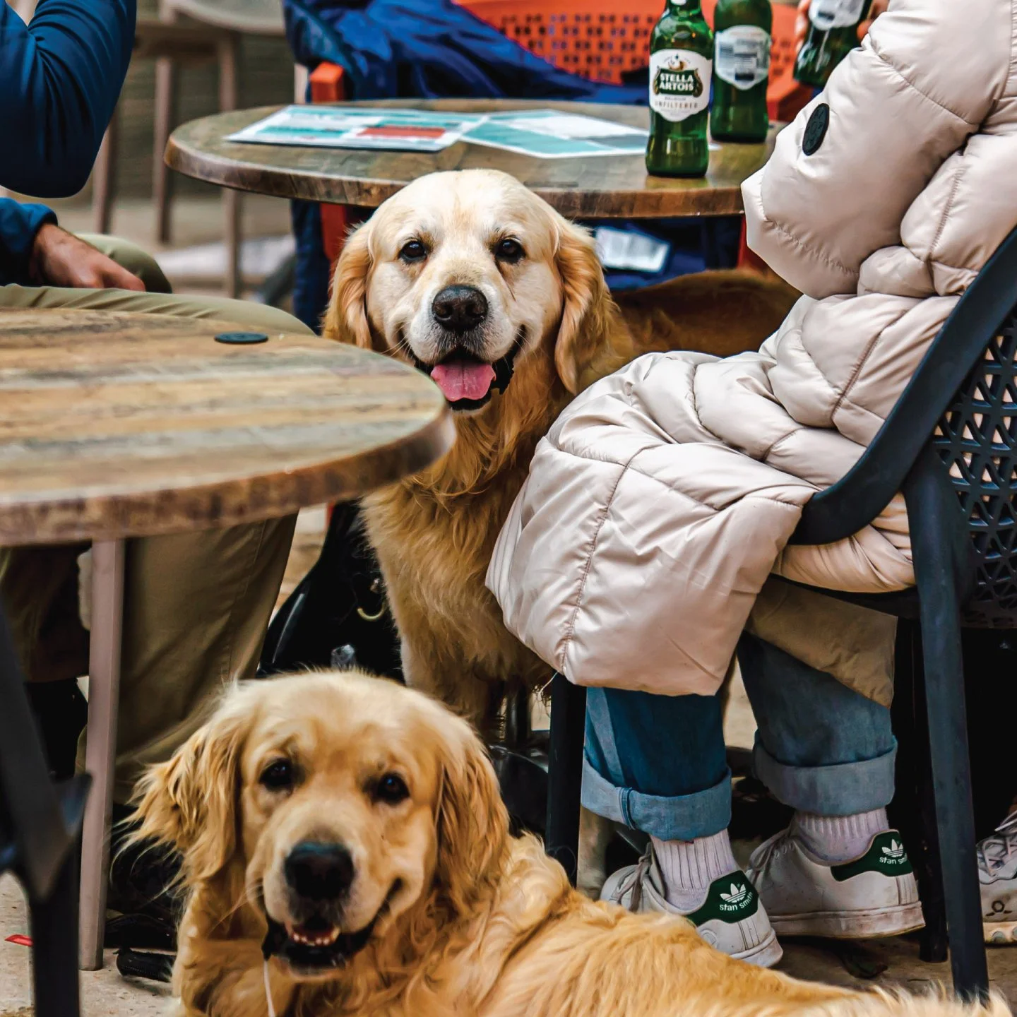 Bring your crew (and your pup!). 🐾❤️

At Lake View Garden Bar, we&rsquo;re 100% pawsome. Whether your four-legged friend prefers a snuggle-spot by the hearthside or a seat on the terrace to soak it up, they&rsquo;re always our welcoming guests. 🐶

