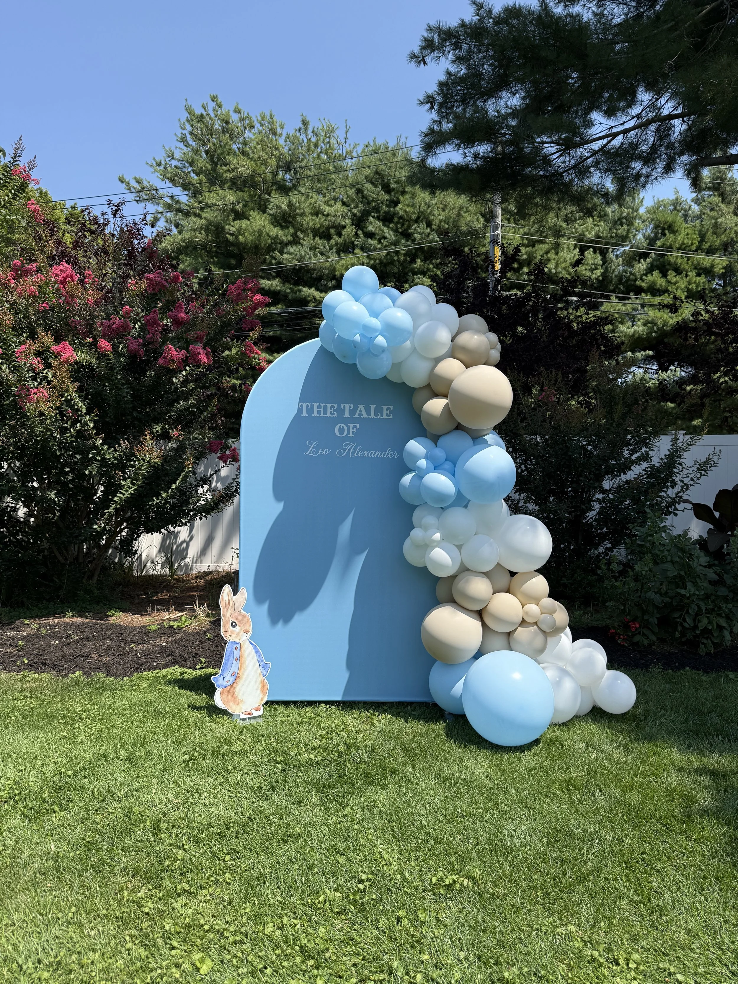 balloons, balloon garlands, balloons near me, balloon display, balloon backdrop, peter rabbit bithday, milestone birthday
