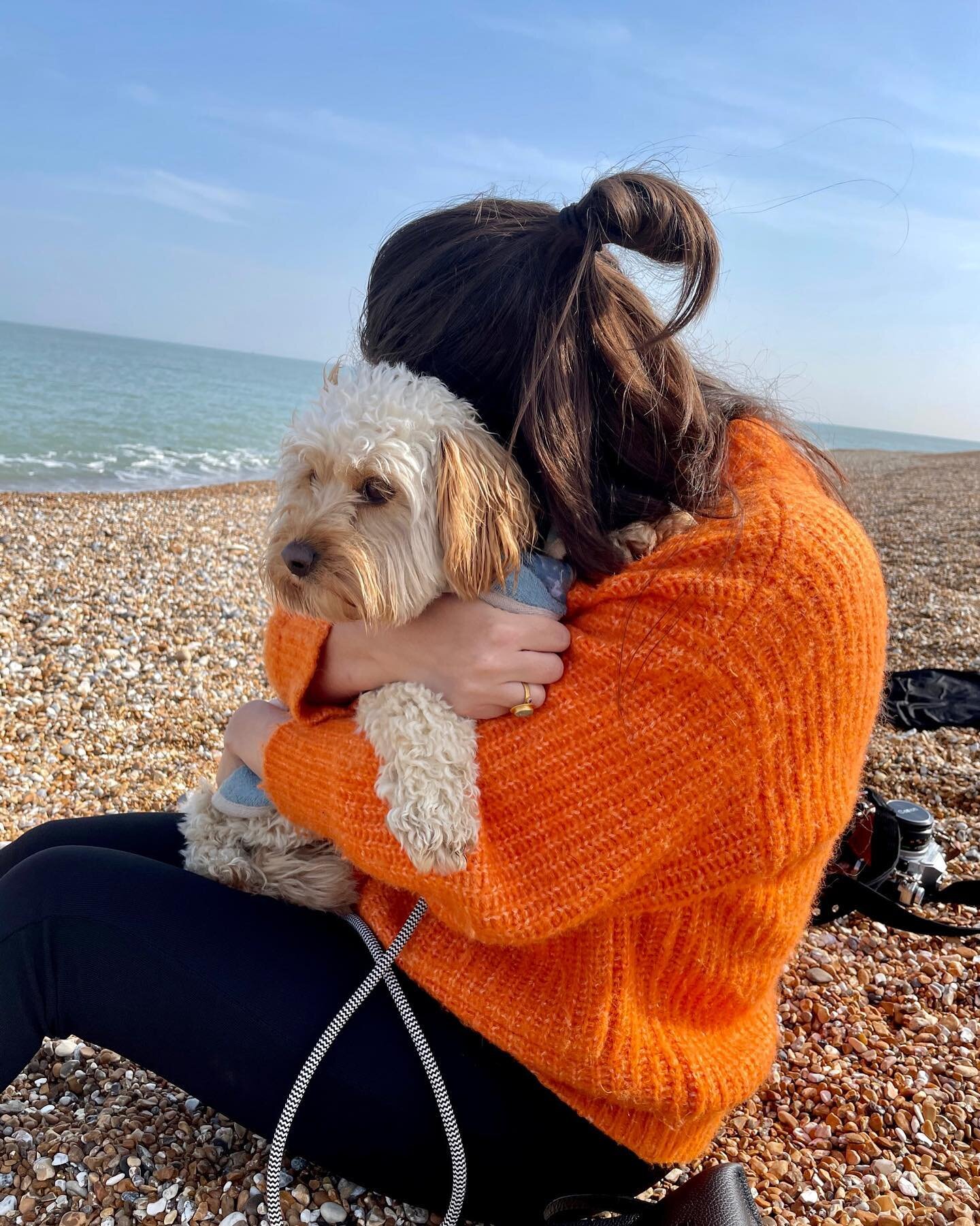 Microbiome&rsquo;s best friend 🐶 

Exposure to pets may have an impact on gut health. Early research shows that we share microbes with our furry friends, which could increase the diversity of our microbiome 🐾 

Studies have also shown that children