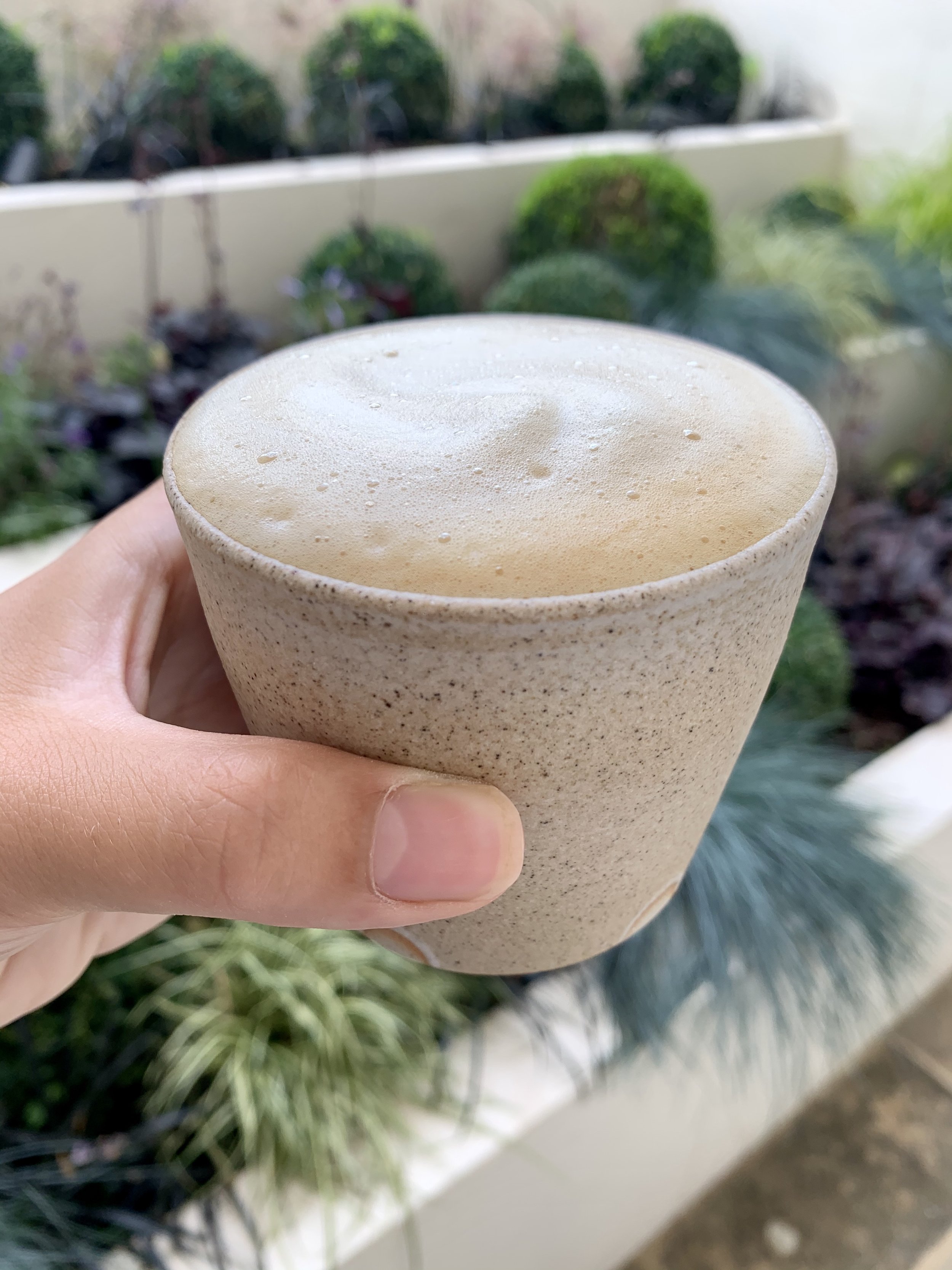 Chicory Latte