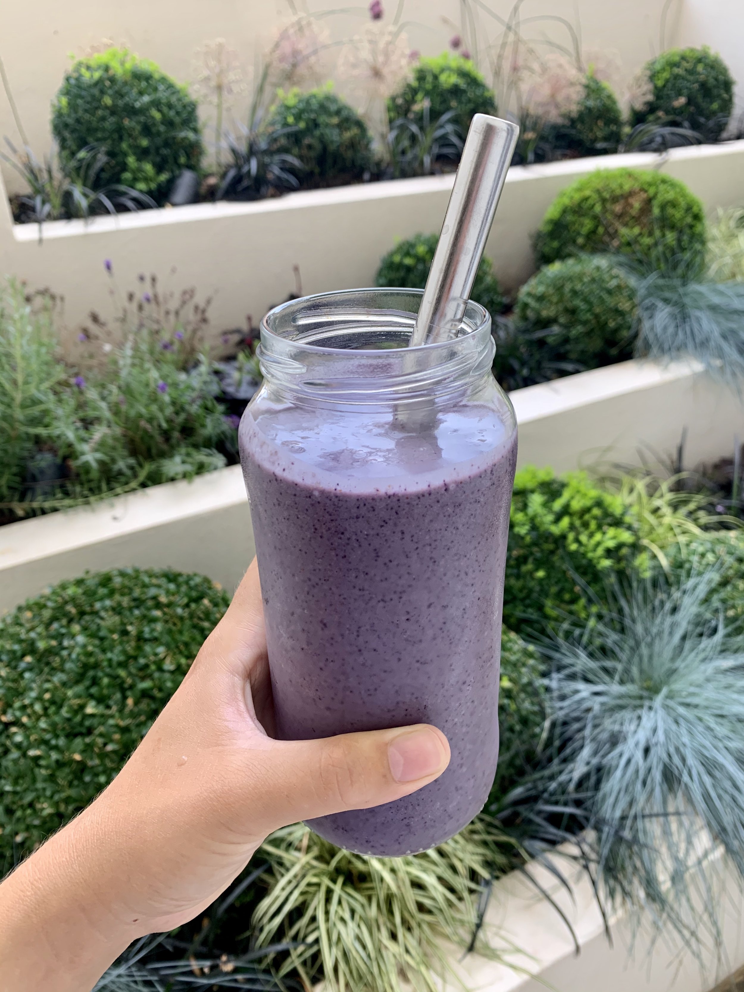 Blueberry Smoothie