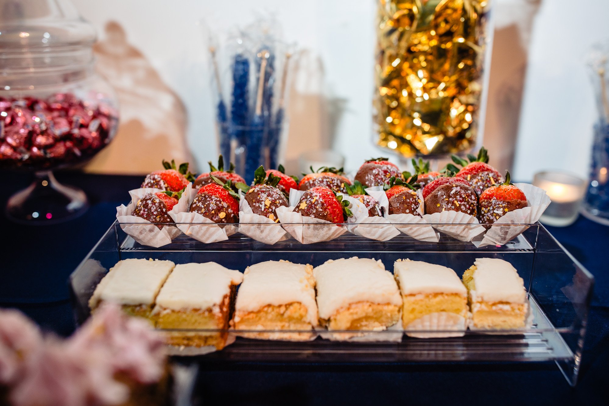 The-Jiselle-Lauren-Foundation-by-Nashville-Event-Photographer-Darcy-Ferris-173.jpg