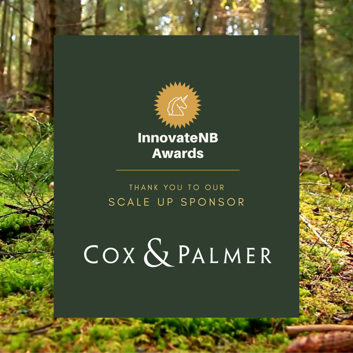 Cox &amp; Palmer Supports Innovation as InnovateNB Awards Scale-Up Sponsor