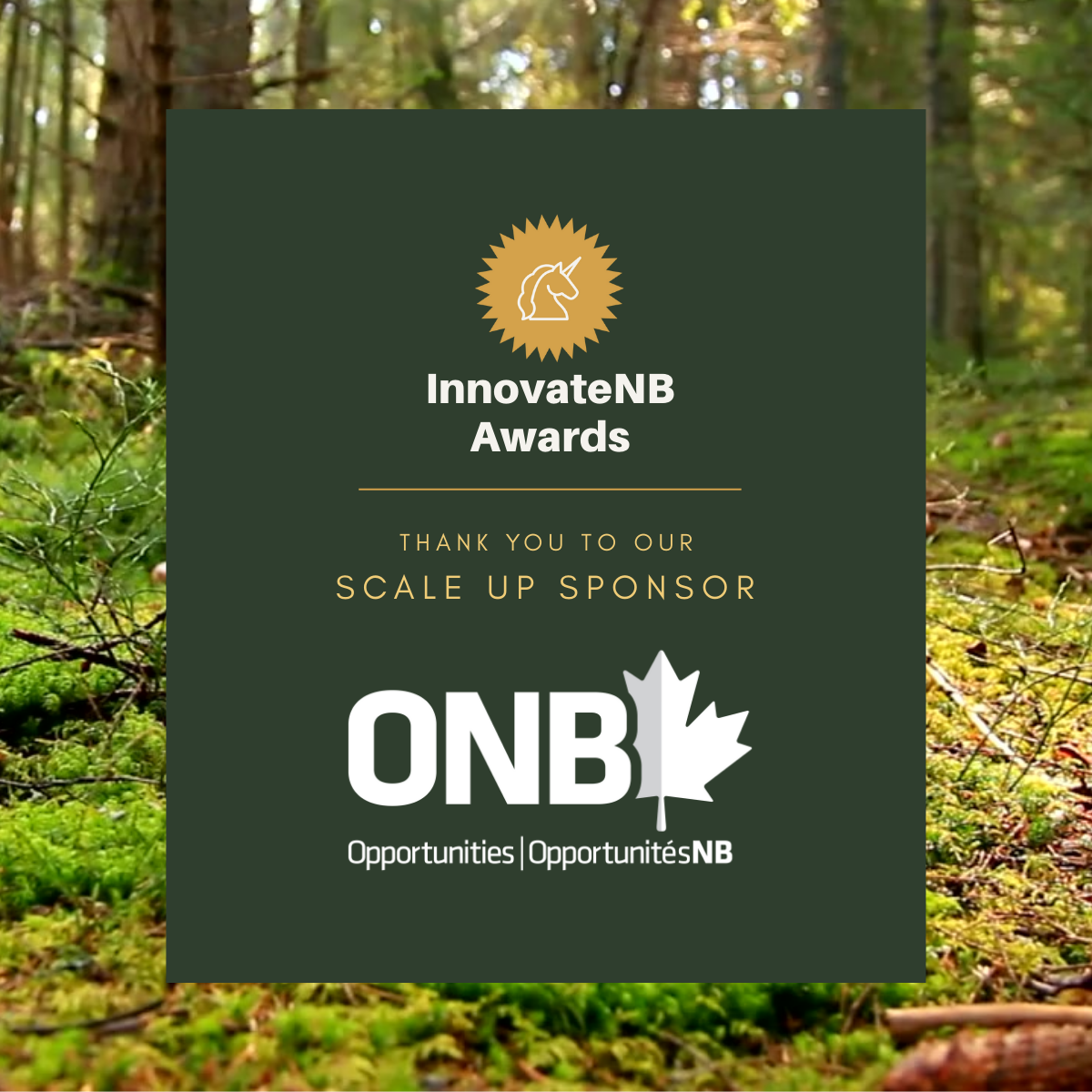 Opportunities NB Partners with InnovateNB as Scale-Up Sponsor