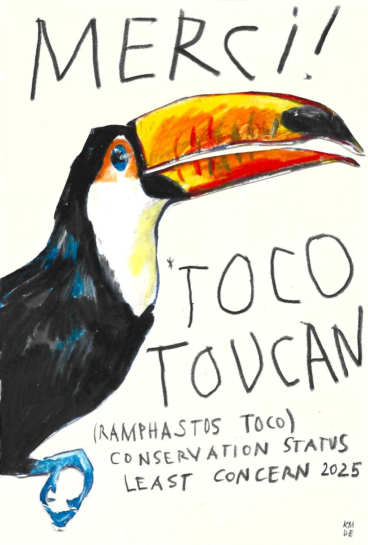 Toco Toucan, Karolina Dema, Wax Pastel on Paper, 15 x 10 cm, 2025 ©Demo Dema