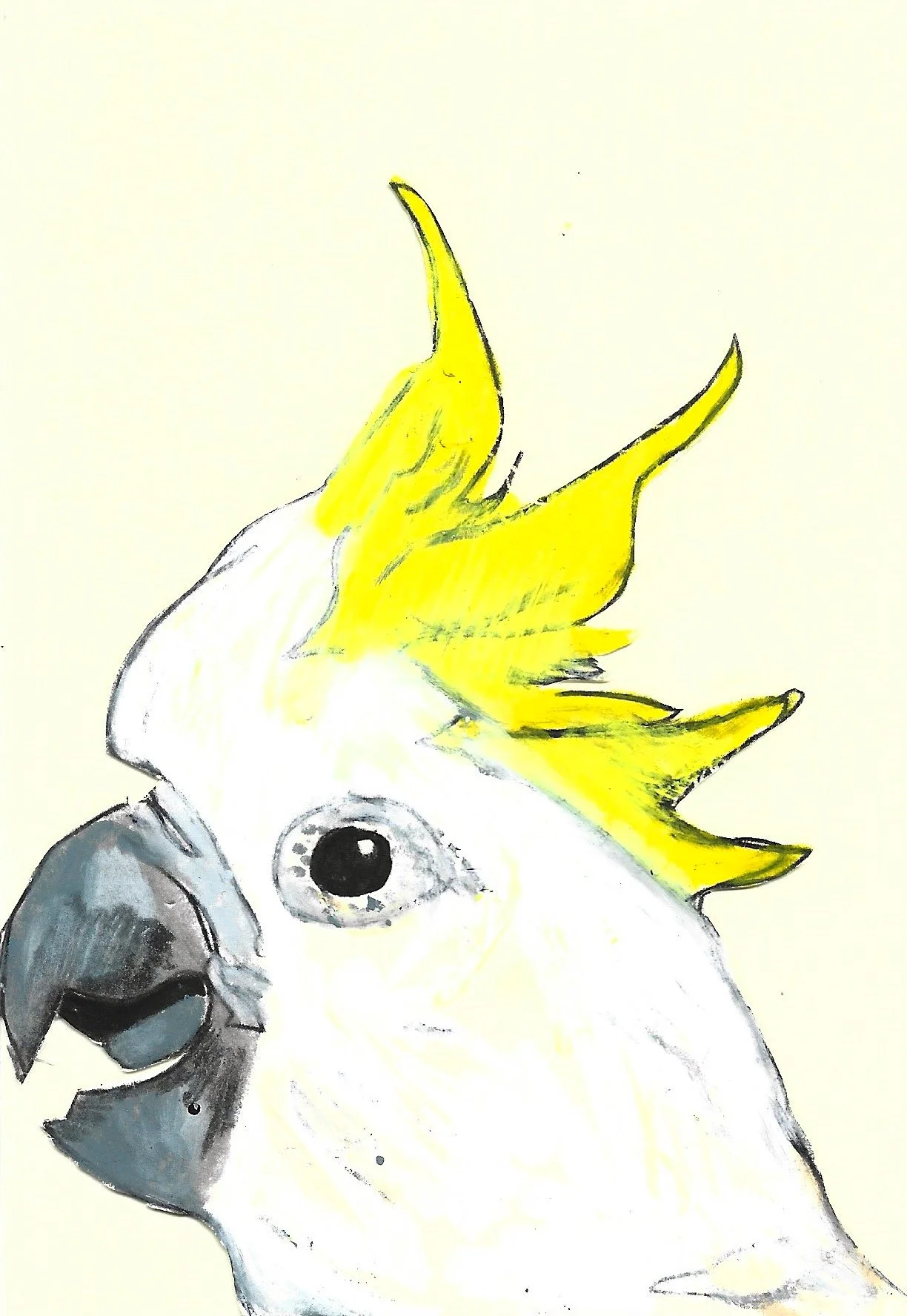 Sulphur-Crested Cockatoo, Karolina Dema, Wax Pastel on Paper, 15 x 10 cm, 2025 ©Demo Dema
