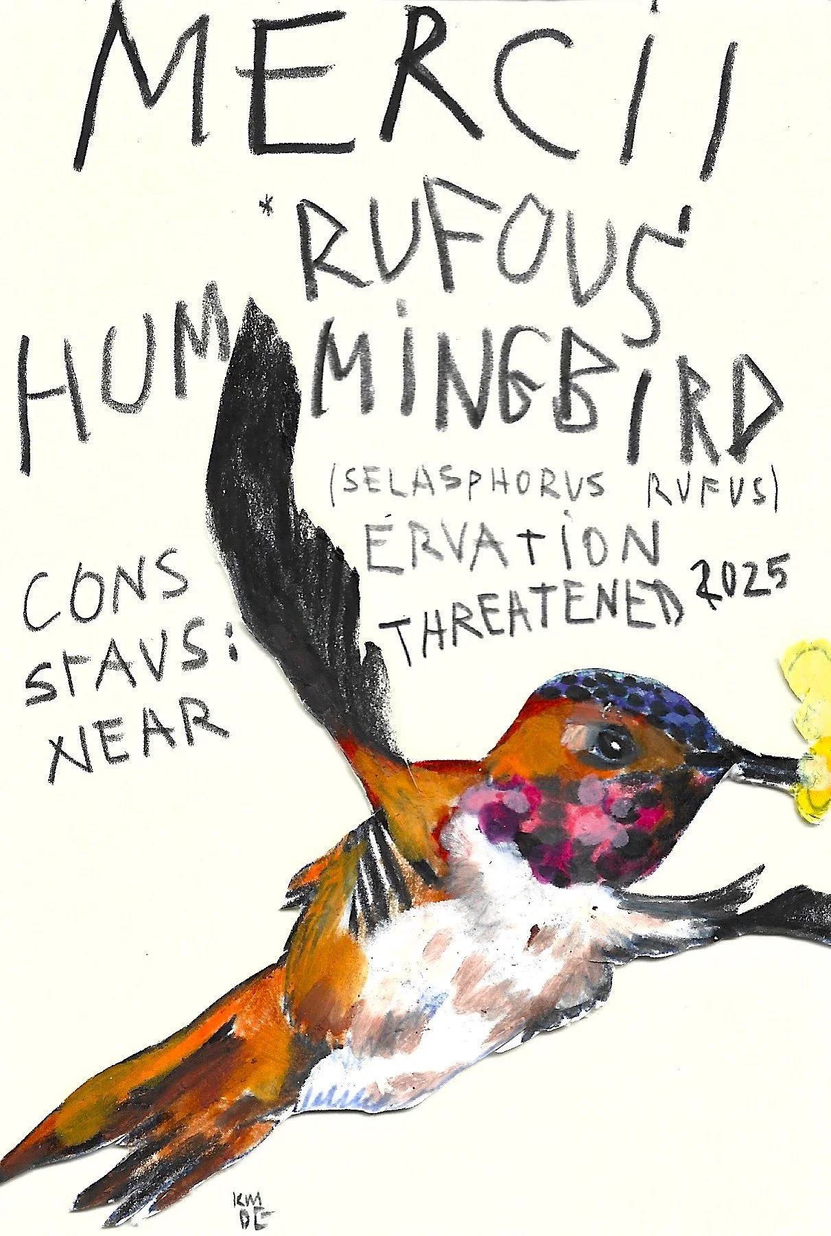 Rufous Hummingbird, Karolina Dema, Wax Pastel on Paper, 15 x 10 cm, 2025 ©Demo Dema